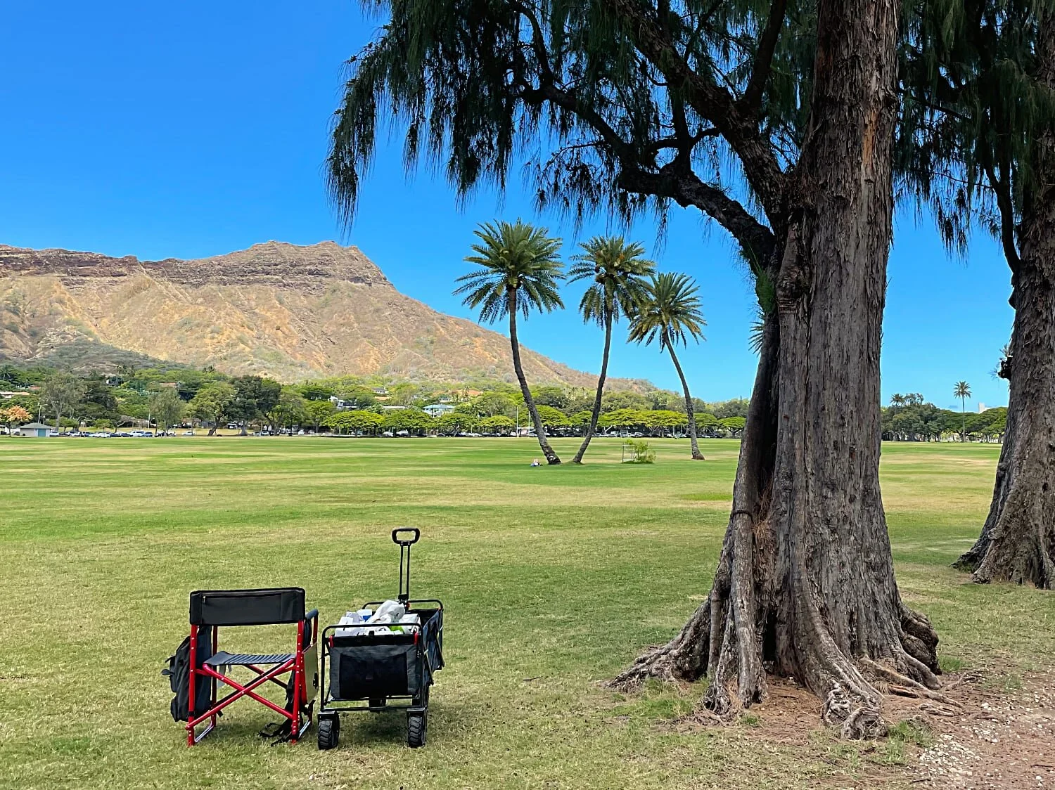 Plein Air Diamond Head June 2021.jpg