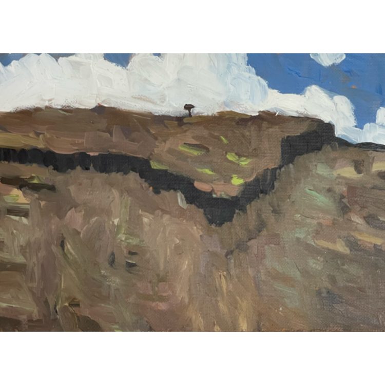 Kohelepelepe, 2022 5 x 7_ Oil on Panel, © All Rights Reserved Web.png