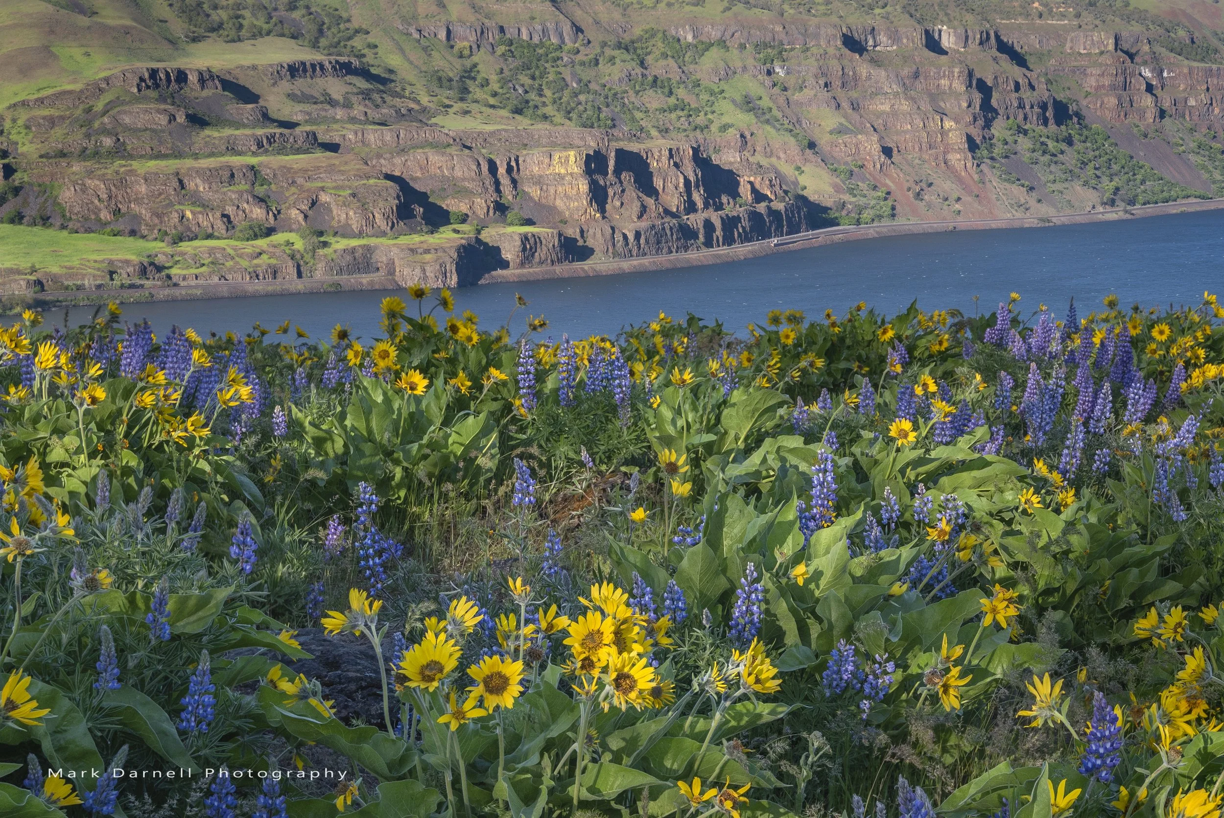 Fine art landscape photography of the Columbia River Gorge by Mark