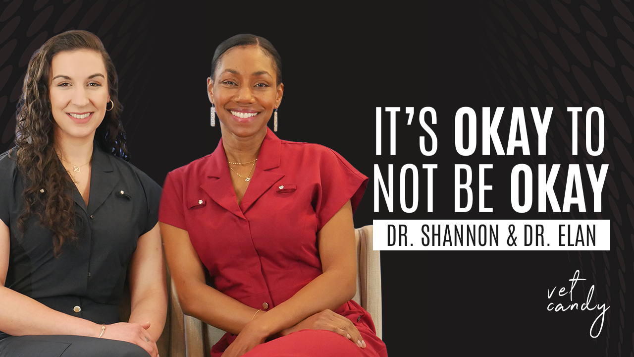 It’s Okay Not to Be Okay: Tackling Vet Burnout and Mental Health