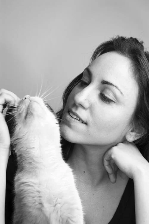 Risk factors exposed for lower urinary tract disease in cats