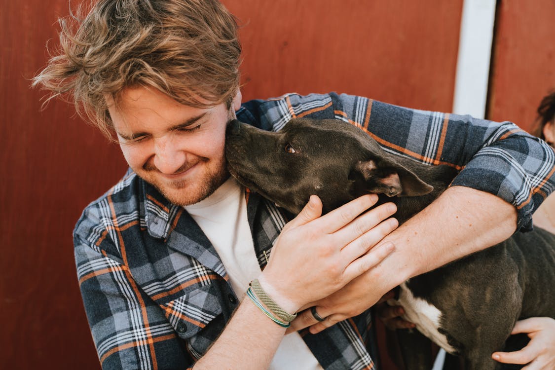 New study demonstrates survival times for dogs with squamous cell carcinoma