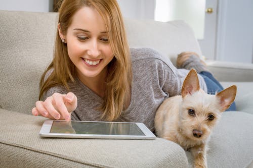 What triggers seizures in epileptic dogs?