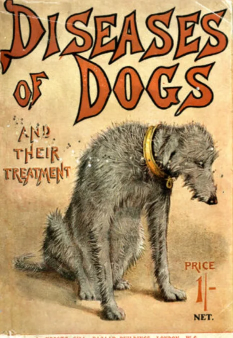 Five&nbsp;centuries of veterinary history are on display at Washington State University