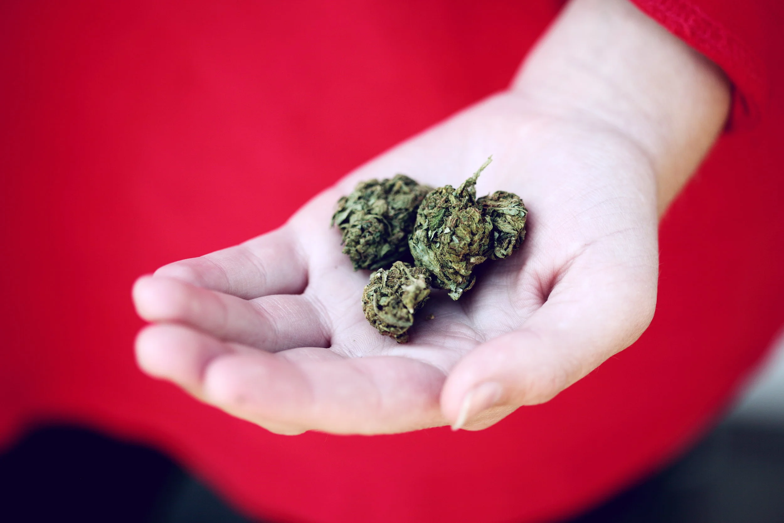 Tips for dealing with marijuana toxicoses