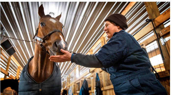 Dr. Barbara Mix honored by Cornell