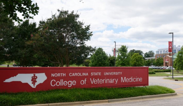 Business Icon Wordsworth Supports NC State Veterinary Medicine | Vet Candy