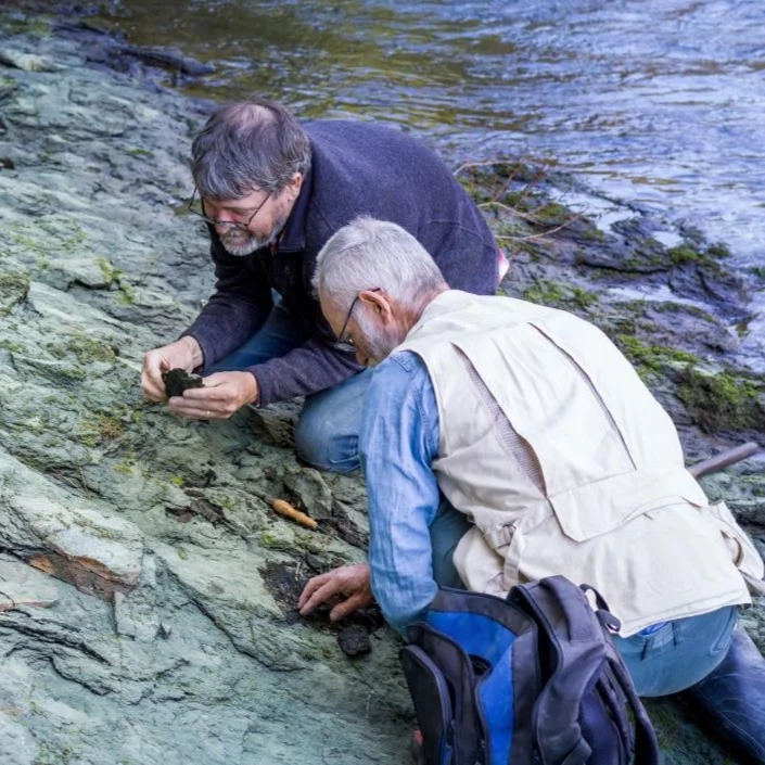 Scientists discover one of world's oldest bird species in Waipara, New Zealand