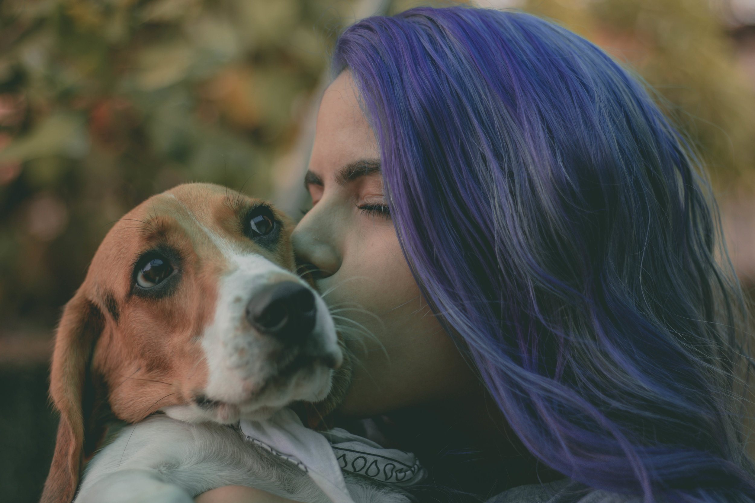 Want to do better in school? Get a pet