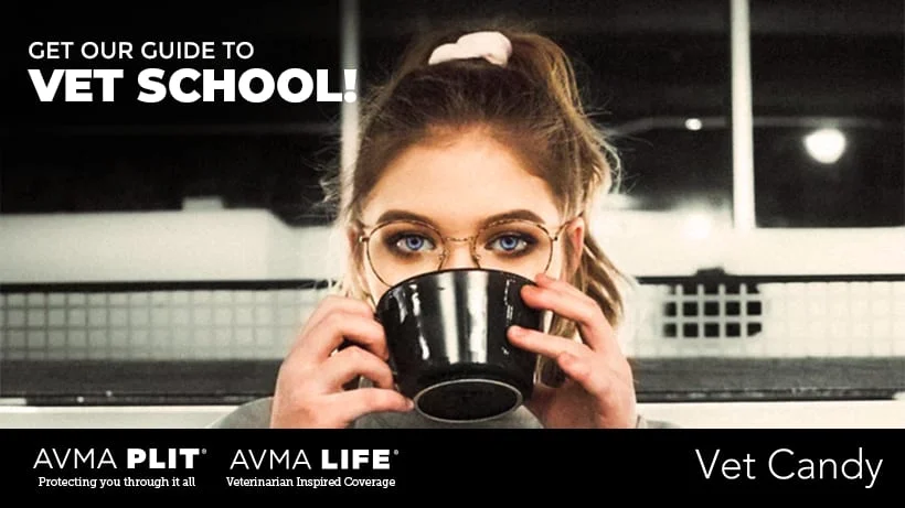Get our free Vet Candy Guide to Vet School