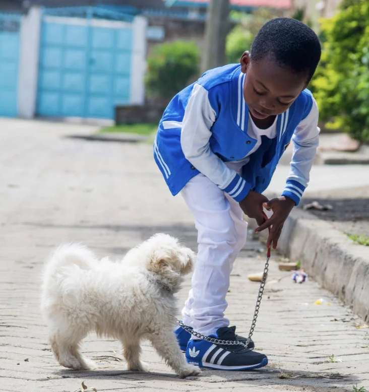 Genes play a role in dog breed differences in behavior