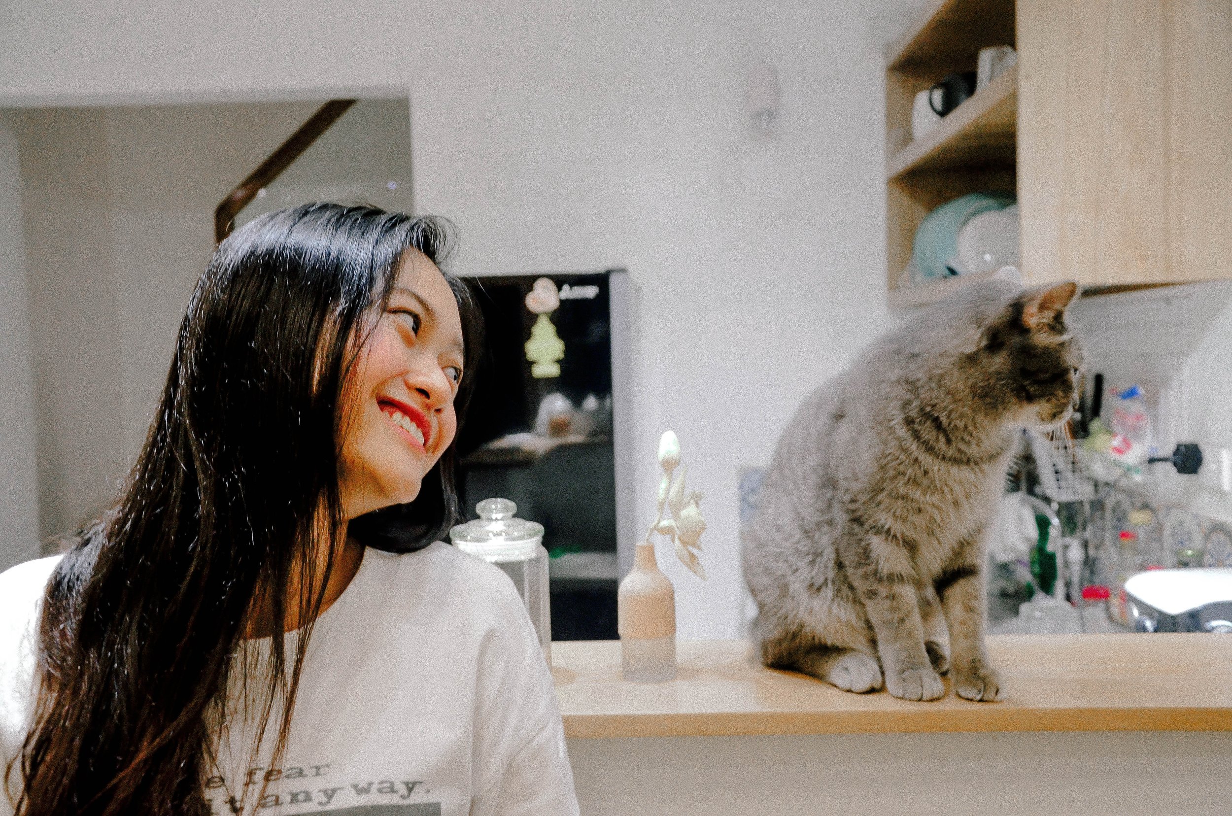 AAFP releases updated Feline Zoonoses Guidelines