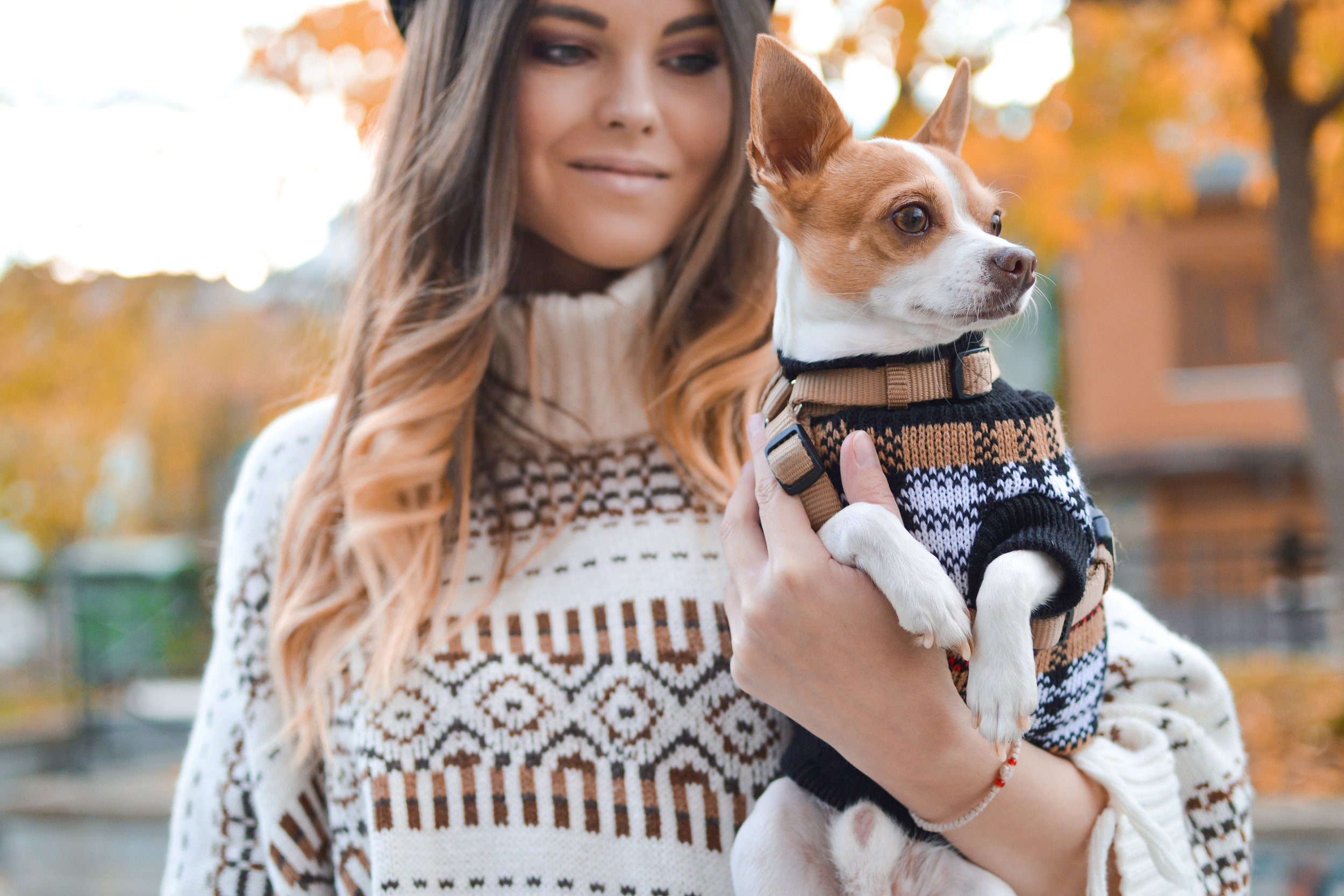 Dogs could be more similar to humans than we thought