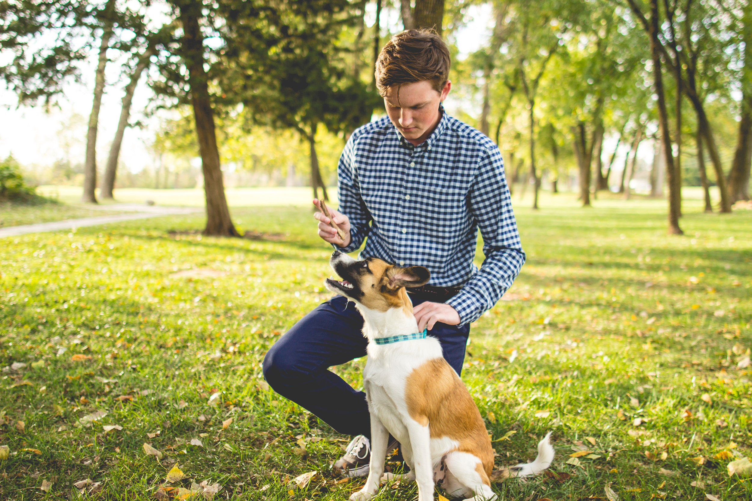 Shelter dog genotyping reveals inaccuracy of breed assignments