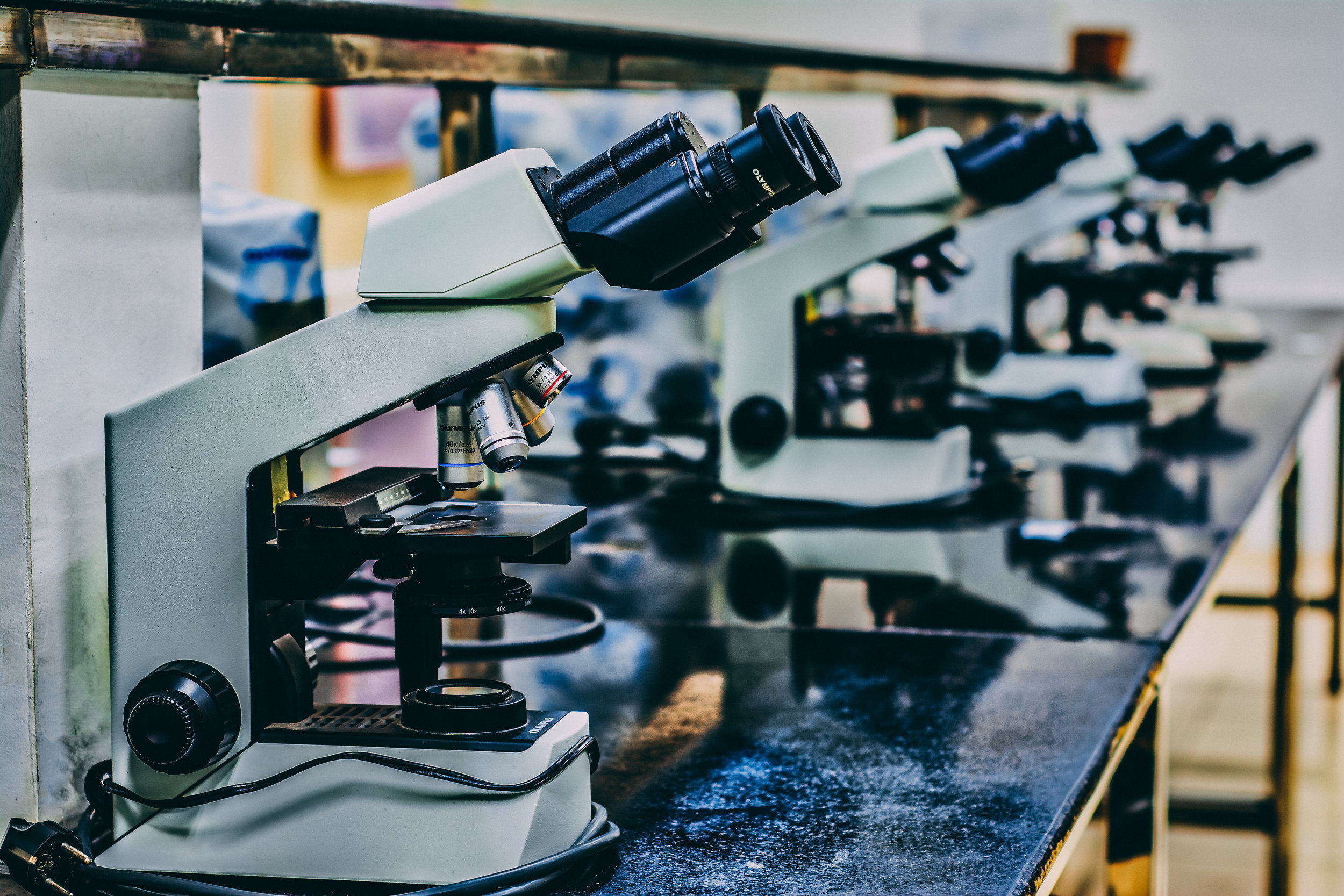 Zoetis acquires Phoenix Labs
