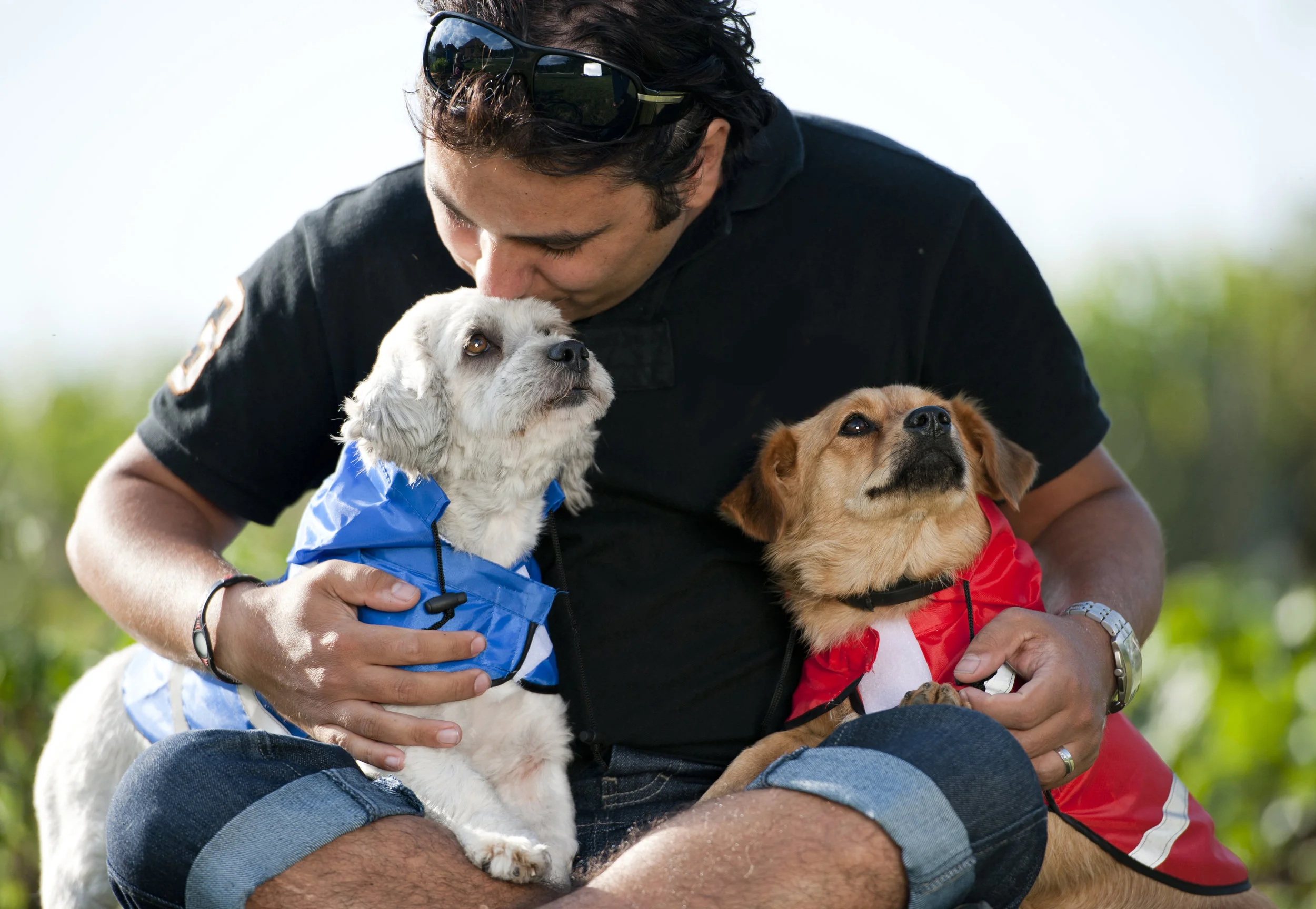 New biomarker of acute kidney injury in dogs.