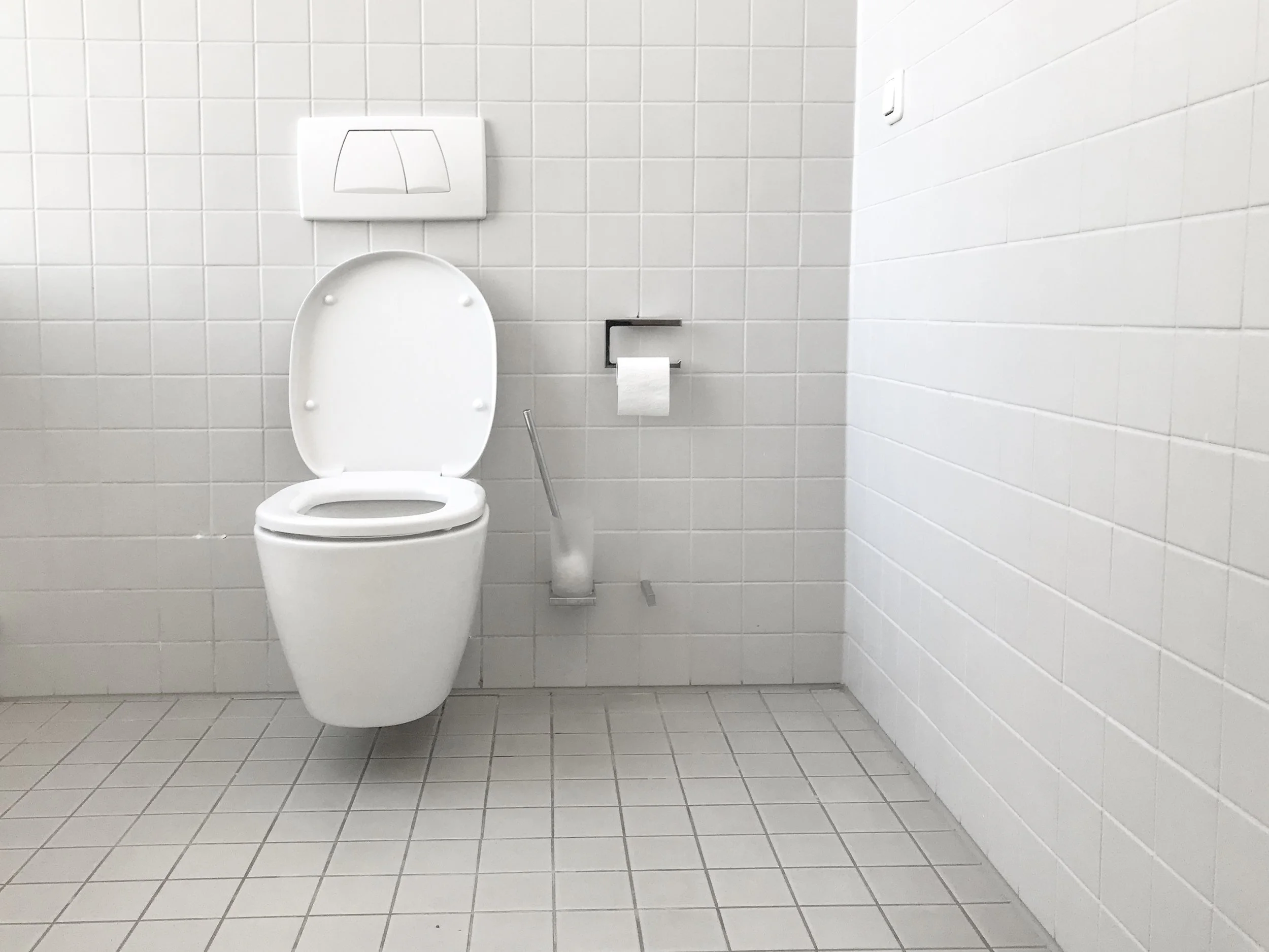 Can 'smart toilets' be the next health data wellspring?