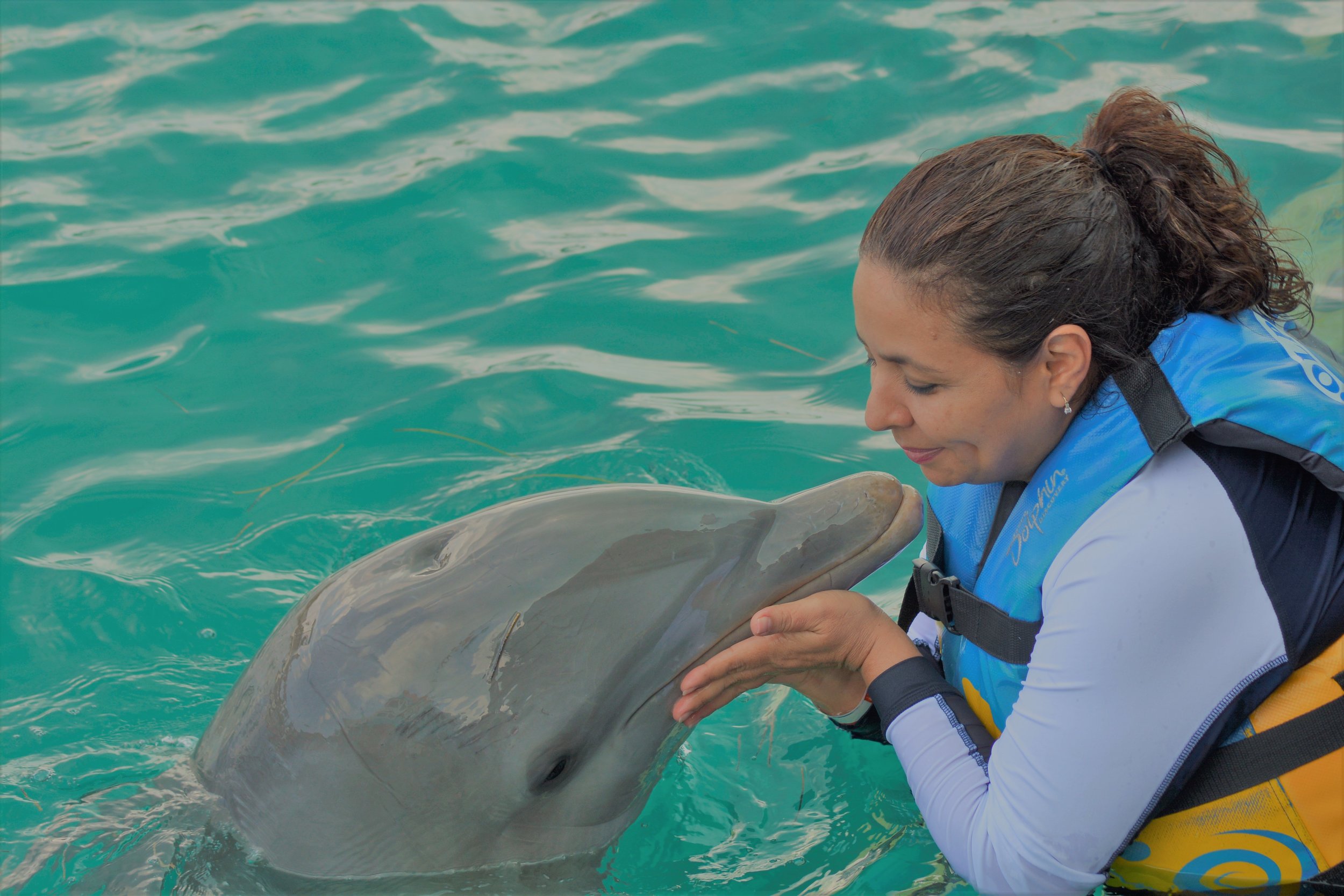 Harbor porpoise calves exposed to neurotoxic PCBs in mothers' milk