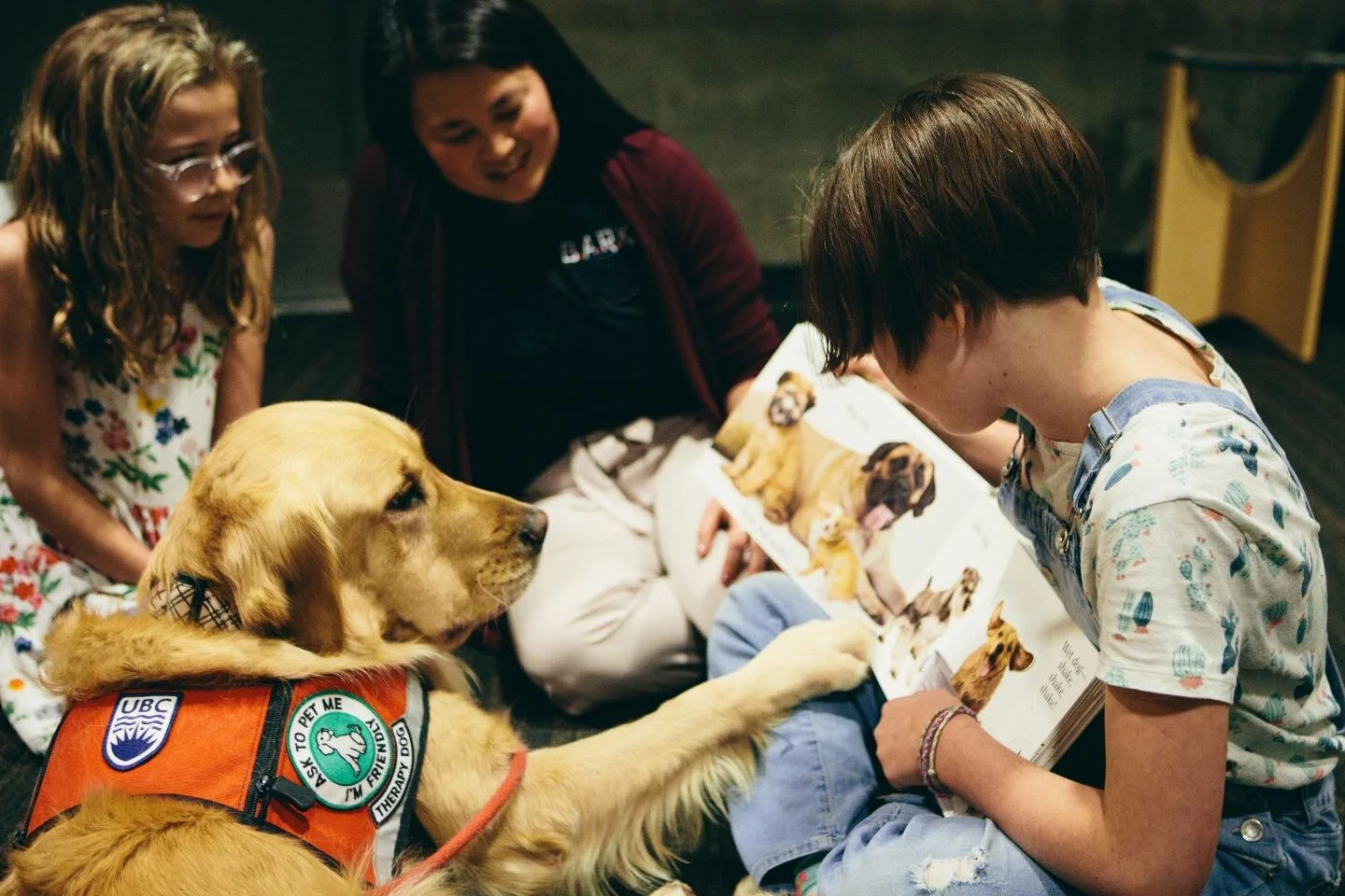 New research demonstrates dogs promote page turning