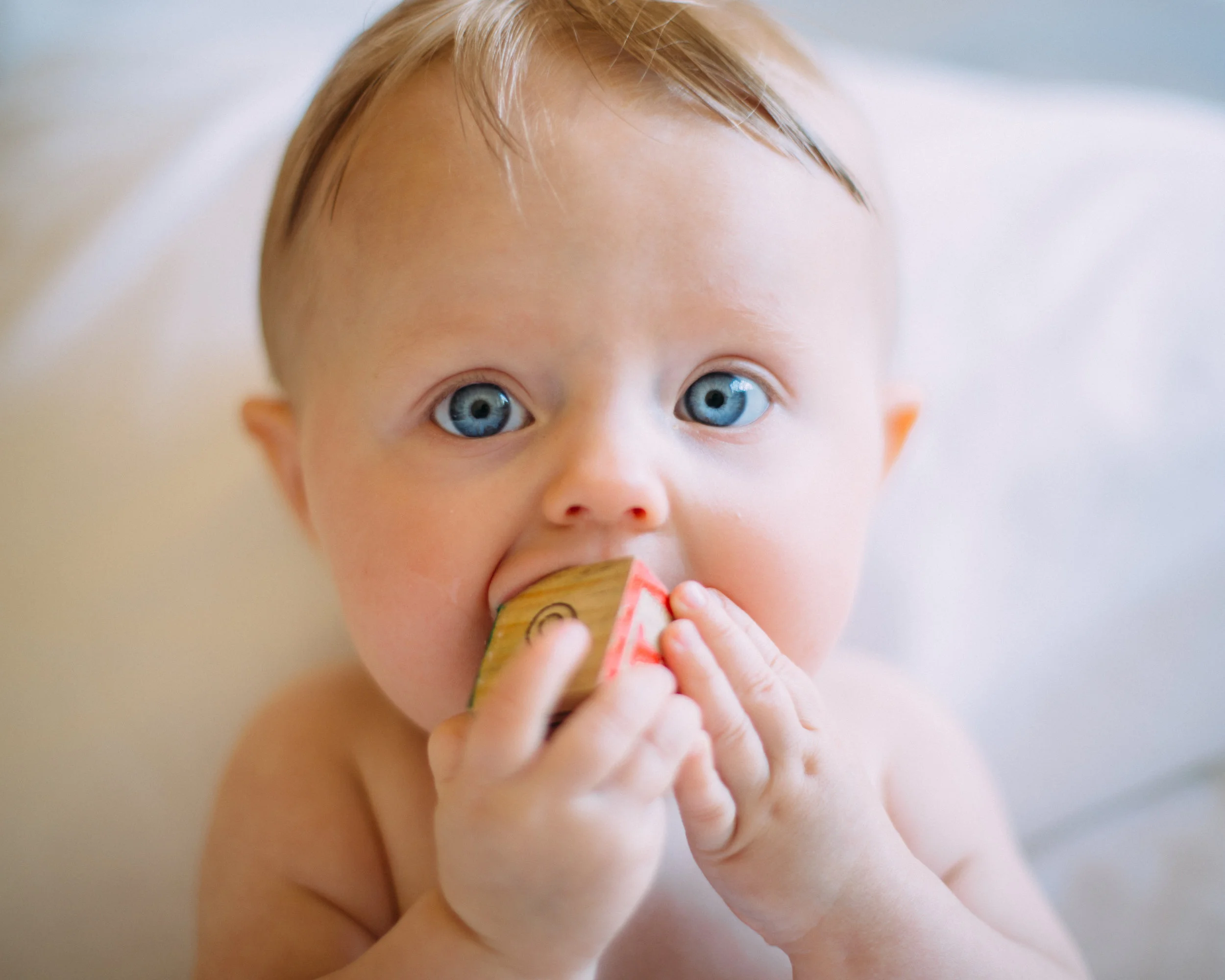 Researchers compare nutritional value of infant and toddler foods