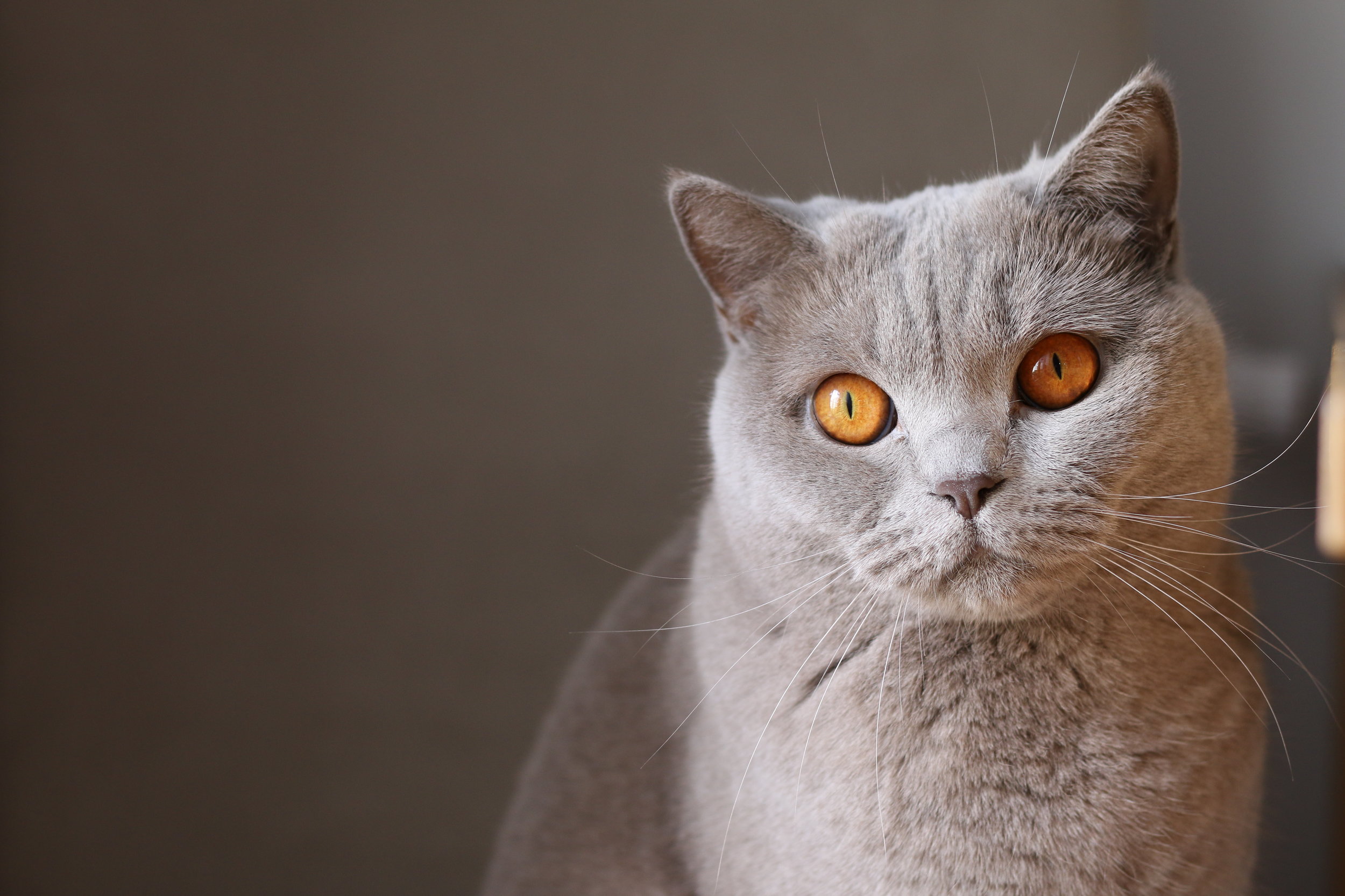 What you need to know about exophthalmos 
