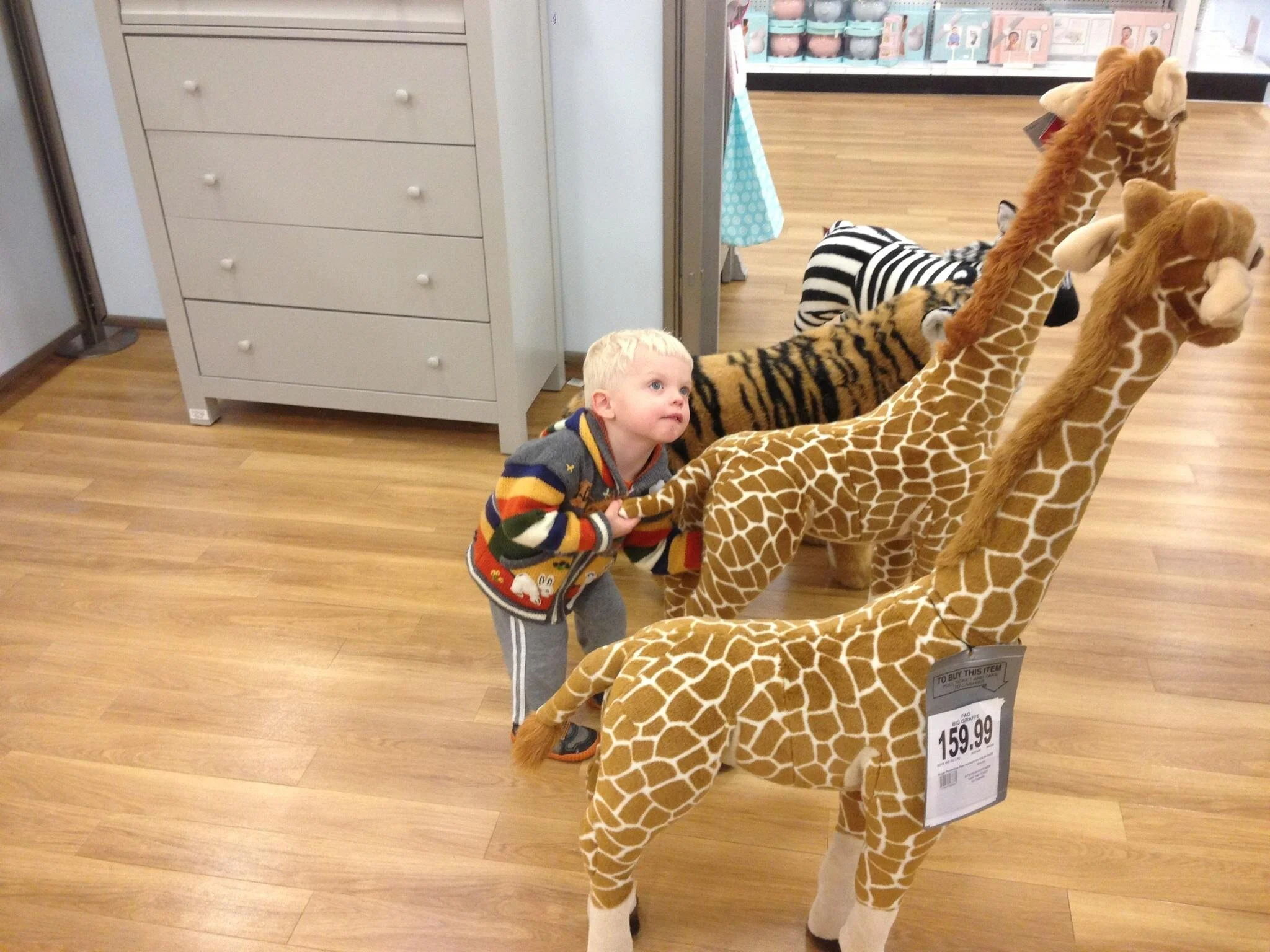 38E4B124-0931-46AD-8A0B-5F3D47BDF55C (1).jpeg