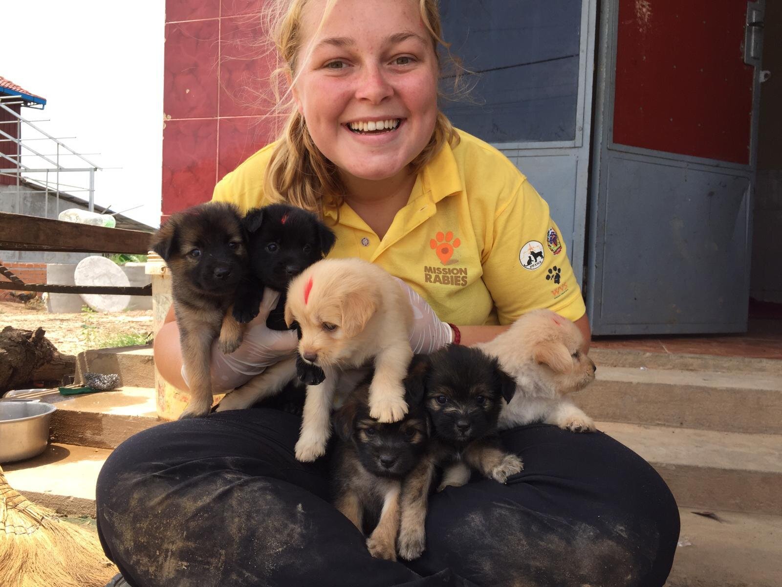 A Mission Rabies volunteer with vaccinated puppies in Cambodia 2019.jpeg