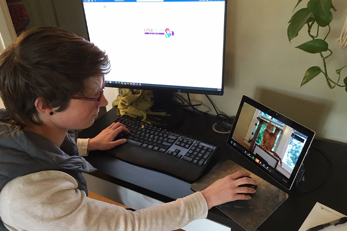 WSU vets use tech to reach pets
