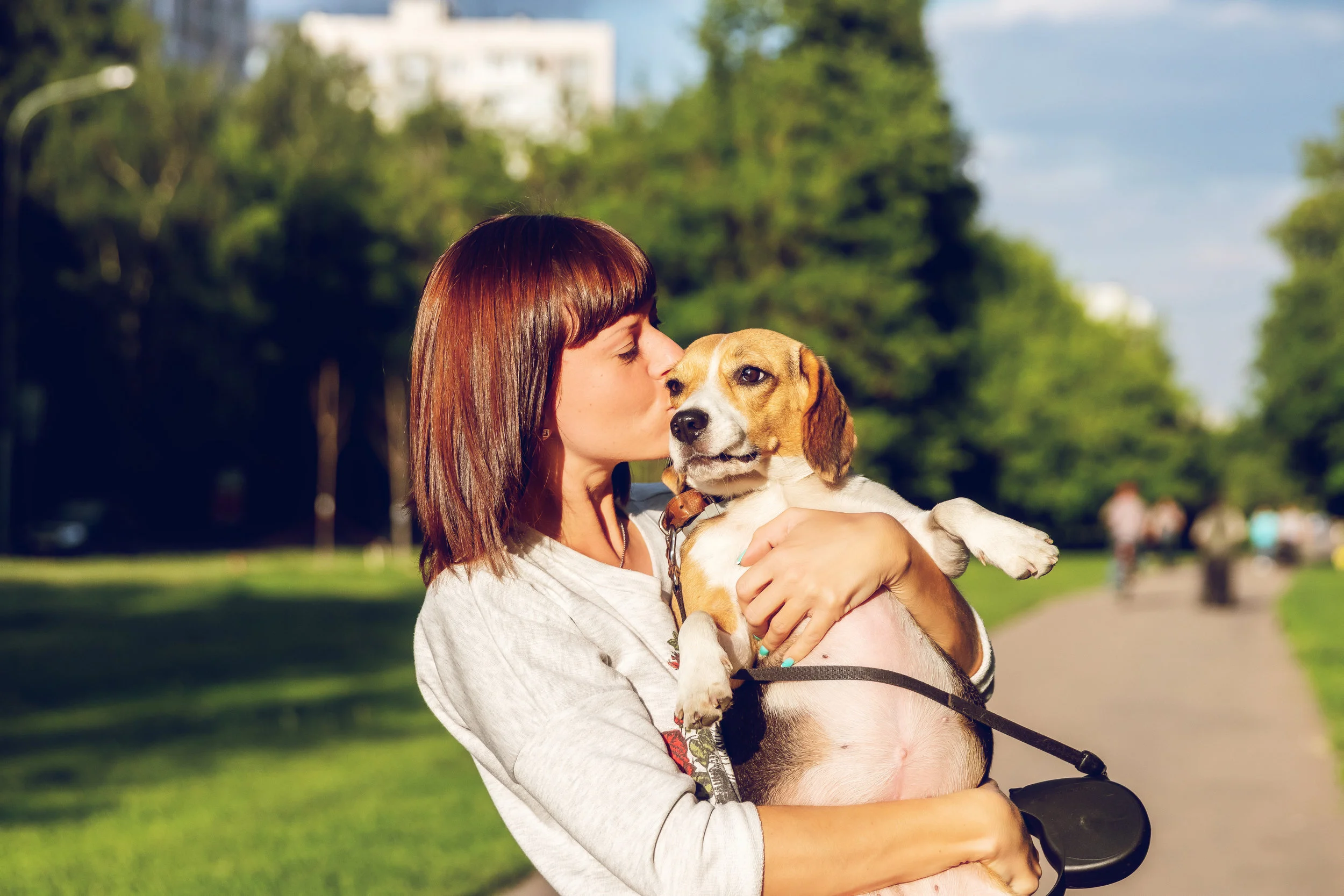 Therapy dogs may help lower emergency clinicians' stress