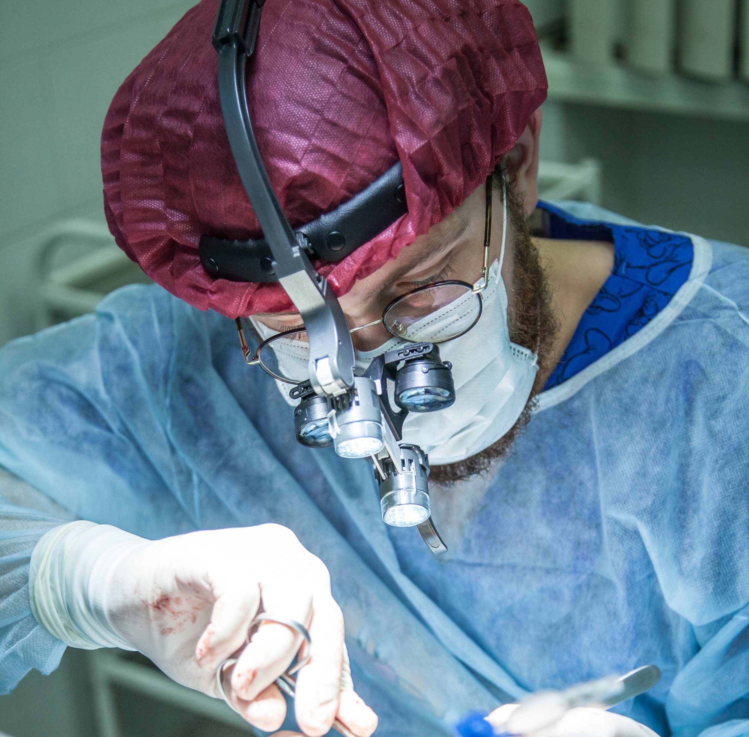 Comparison of perioperative infiltration of analgesics during ovariohysterectomies in cats