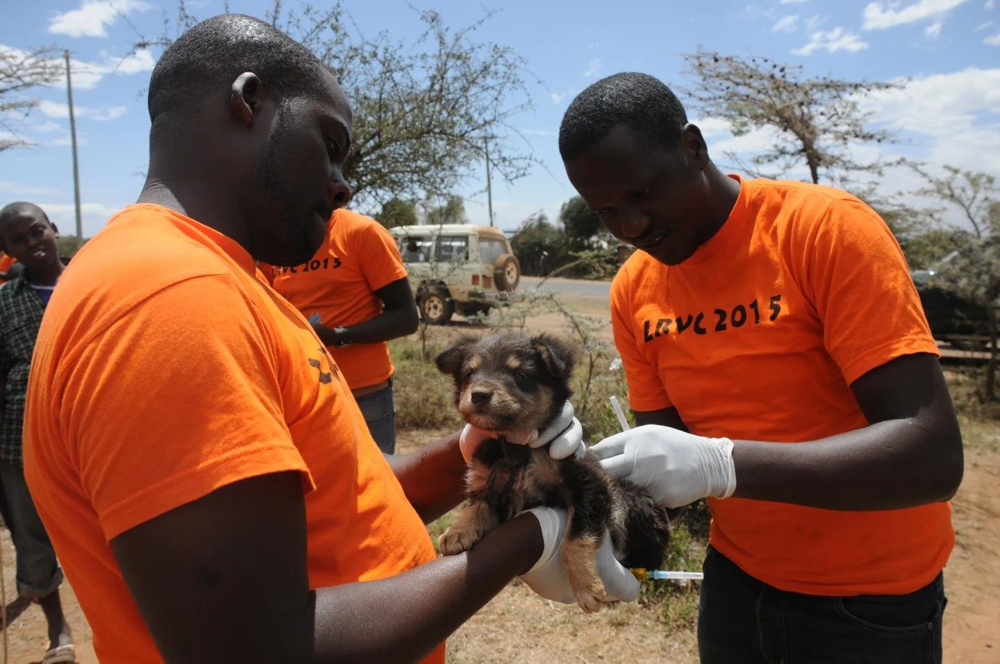 Grassroots dog vaccinations can help stop rabies, but not alone