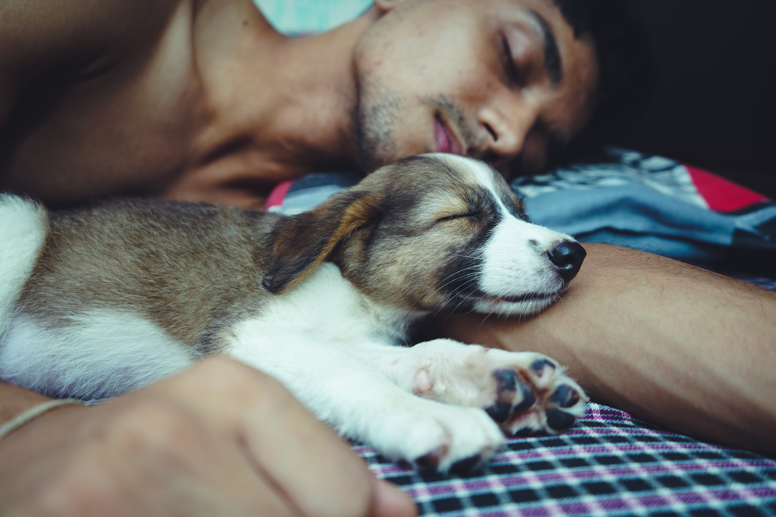Animals who try to sound 'bigger' are good at learning sounds