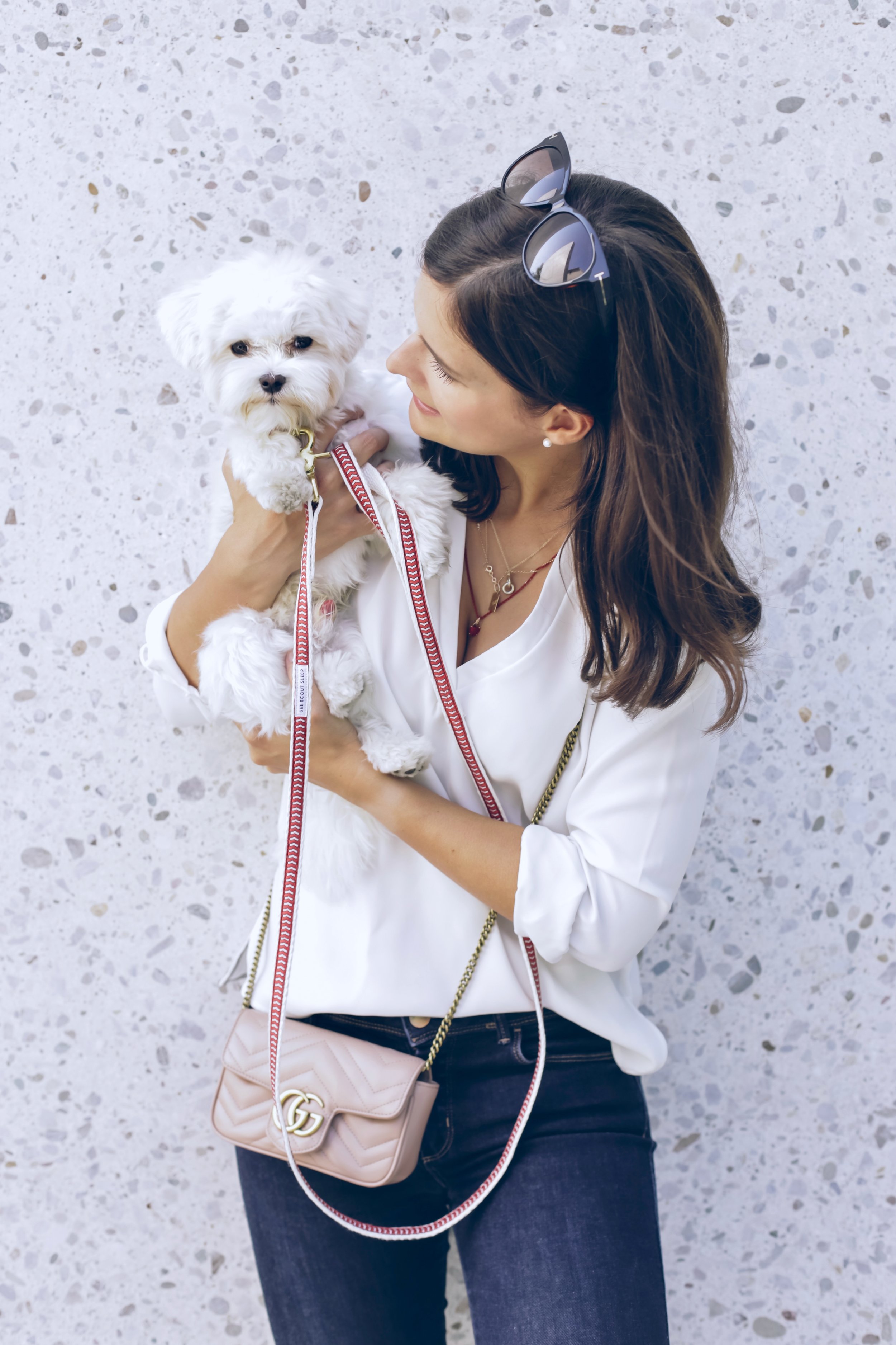  CBD for Pets: 2020 Study of 1061 U.S CBD Consumers