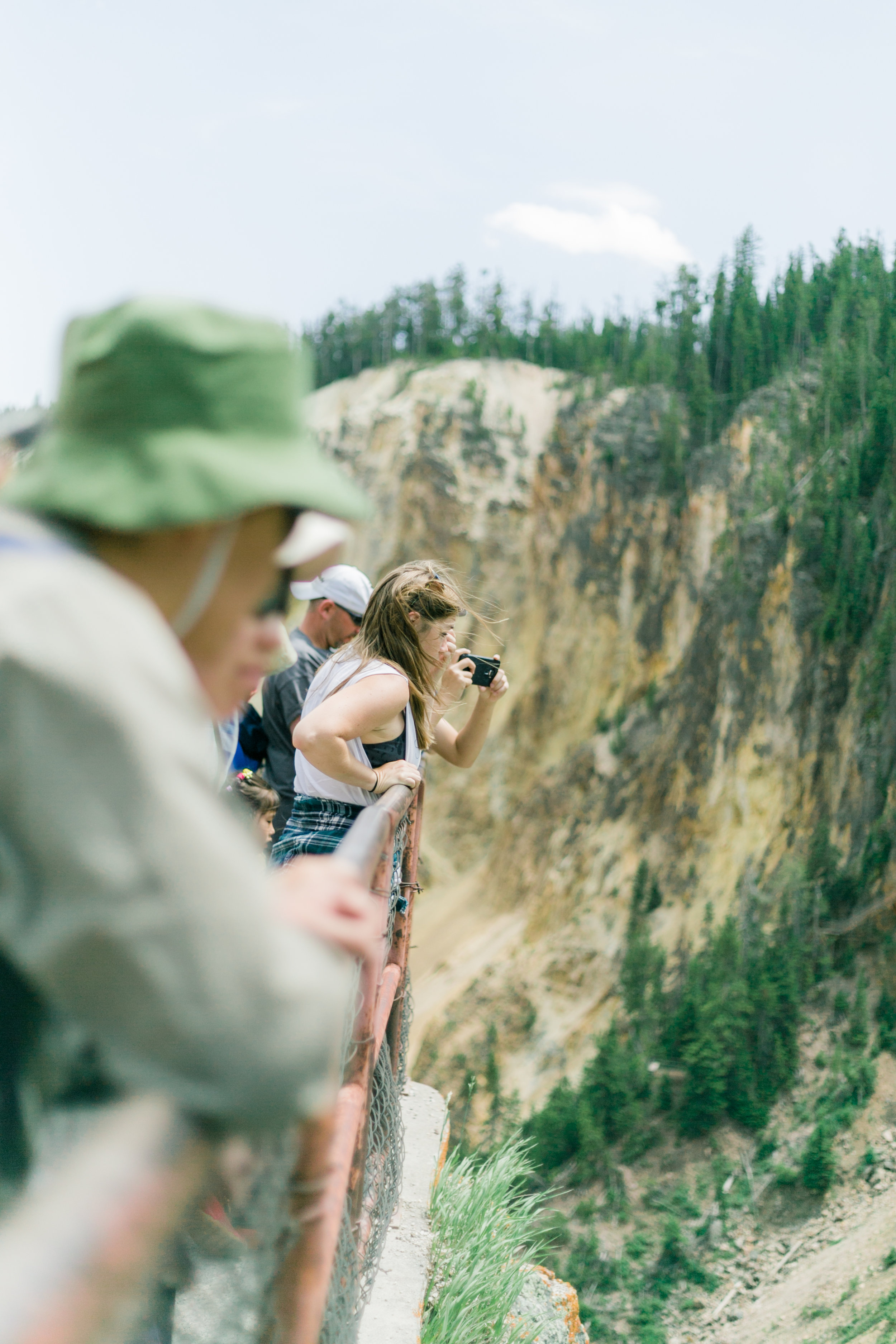 Enlisting private land owners in conservation