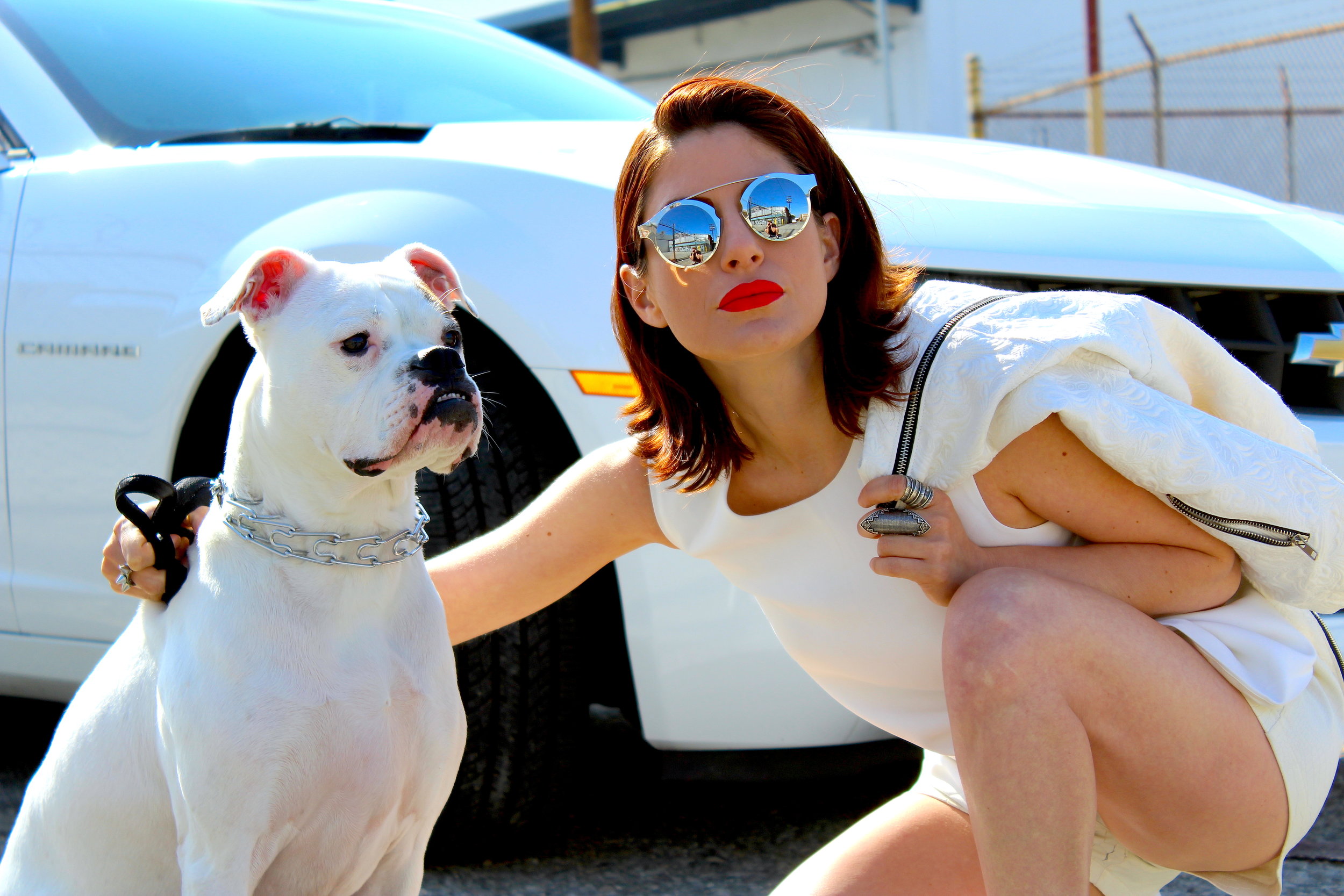 How to talk to clients about their wrinkly faced dogs