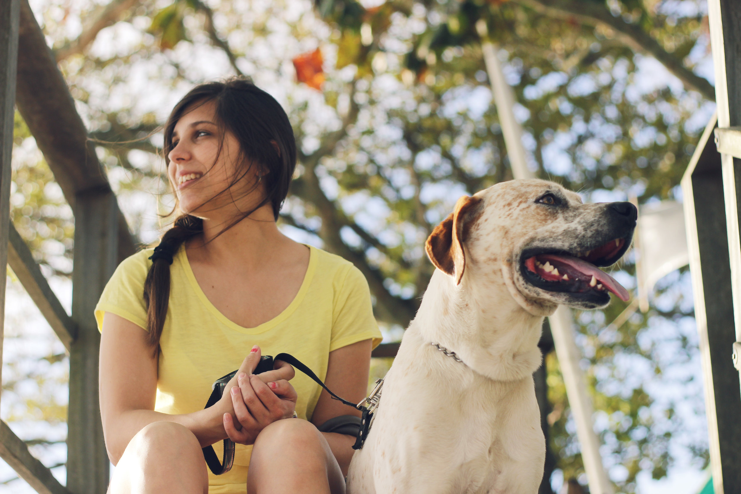 Getting real with CBD- a veterinary surgeon's perspective  