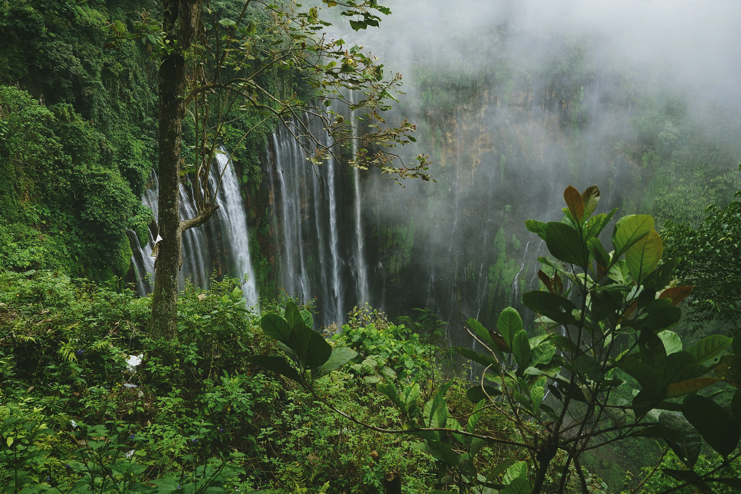 Study of Costa Rican rainforest shows national parks are more resilient than expected