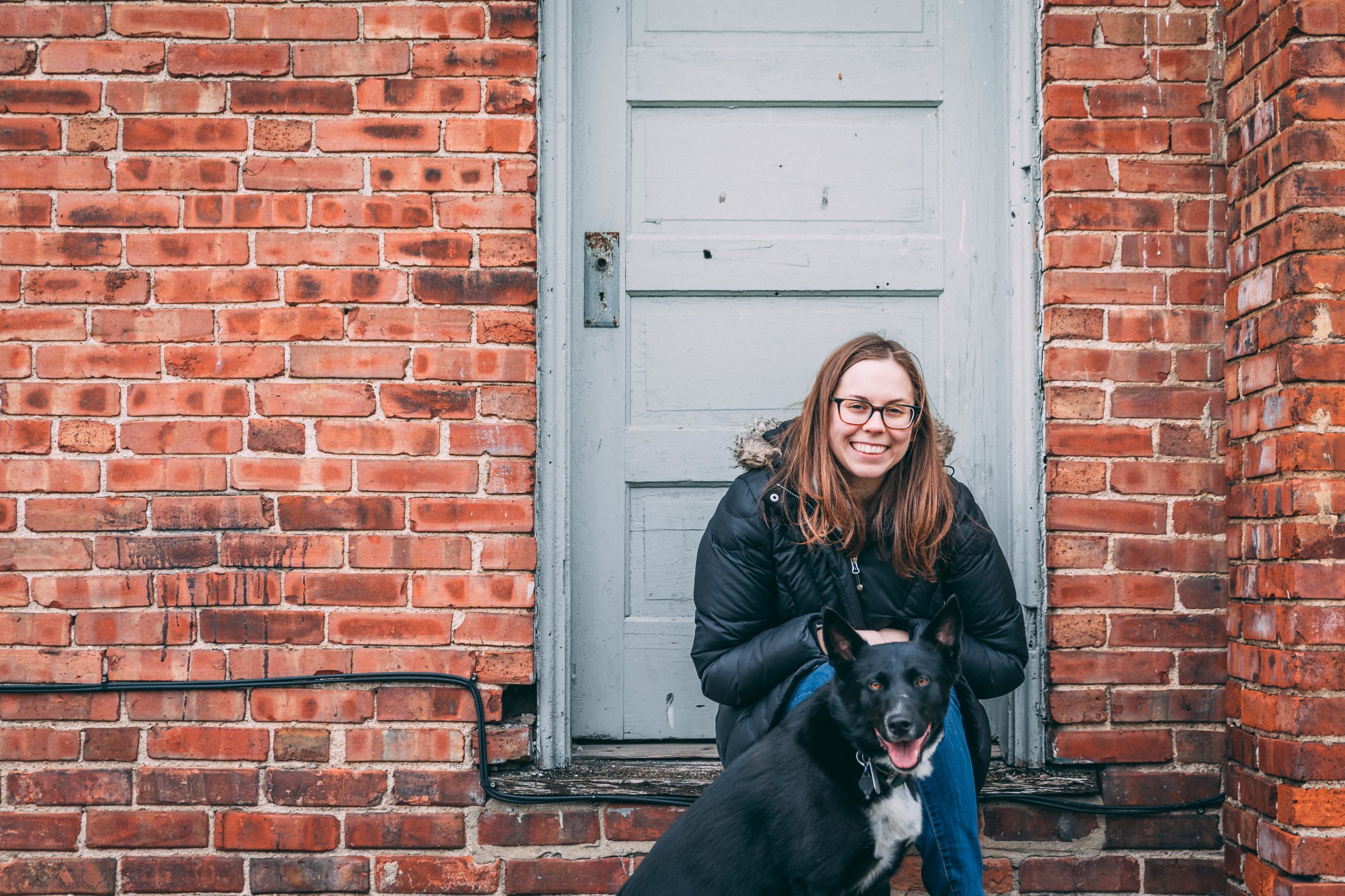 Diet and prior training show no impact on cognitive decline in aging pet dogs