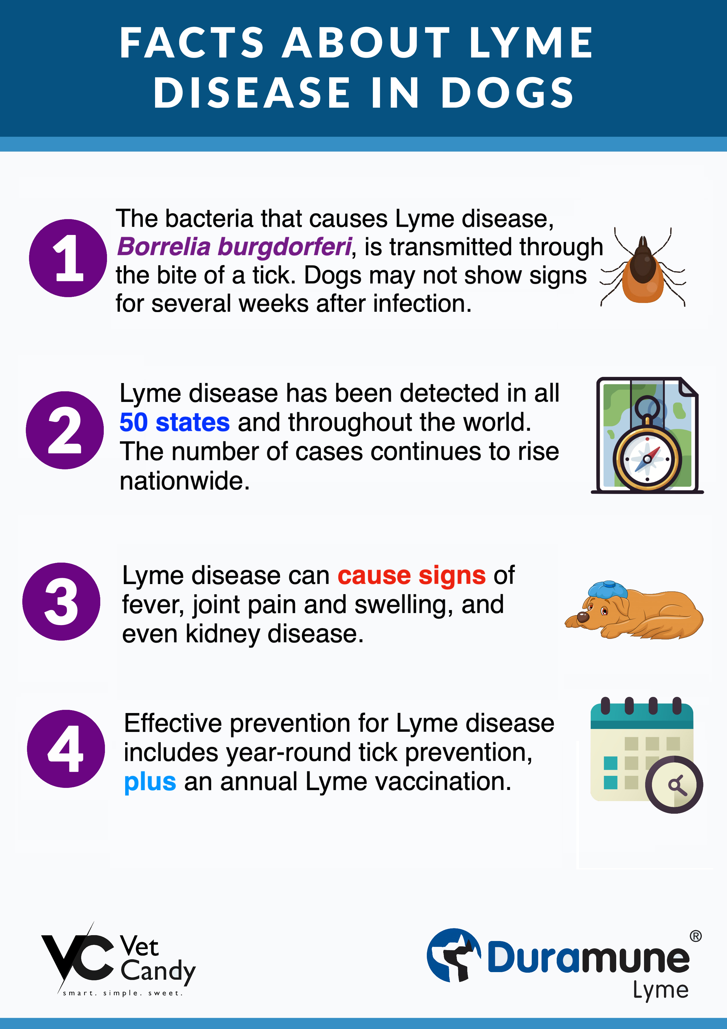 how long is a lyme vaccine good for in dogs