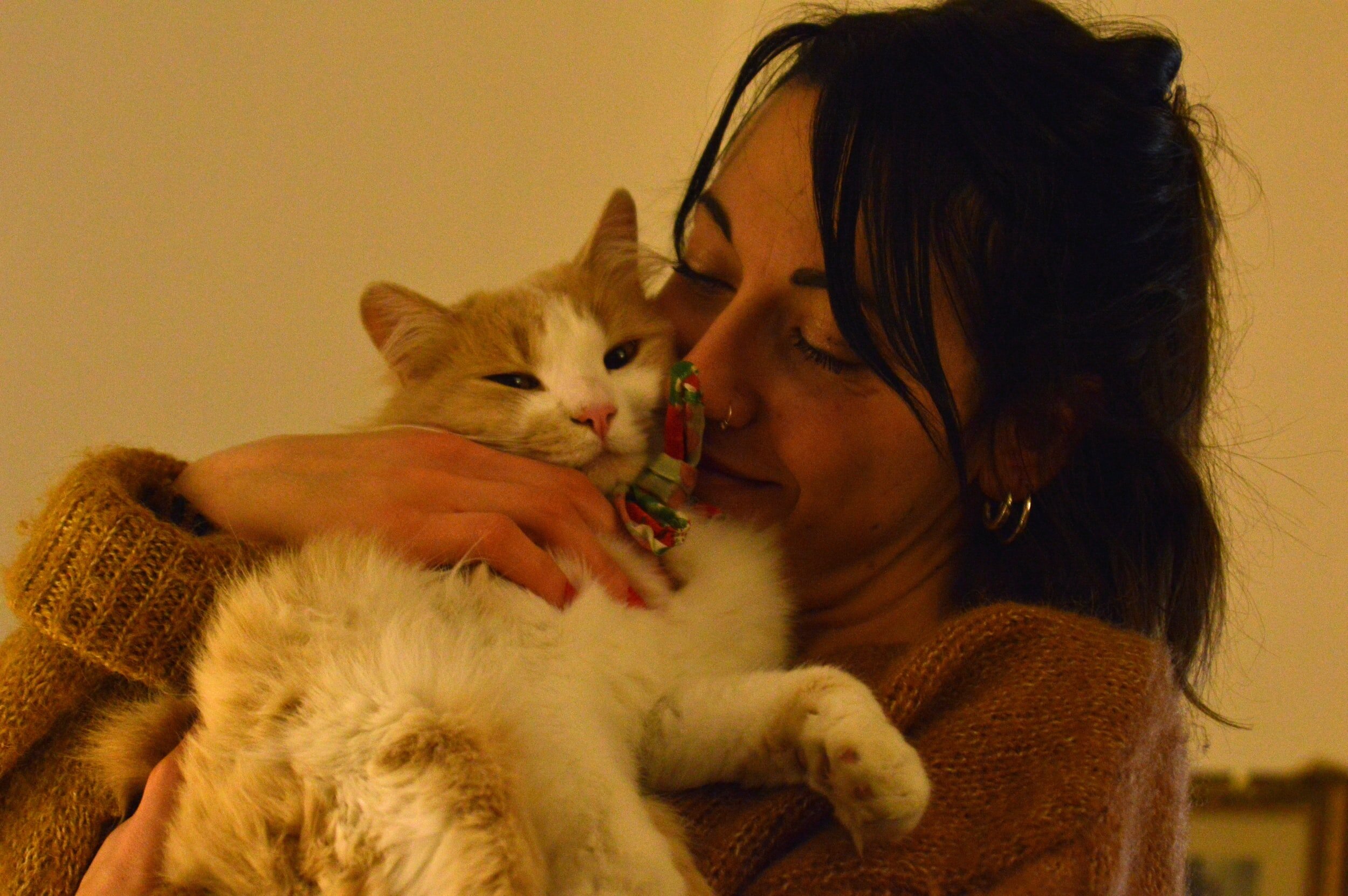 One in 10 adults have gotten a "pandemic pet," poll finds