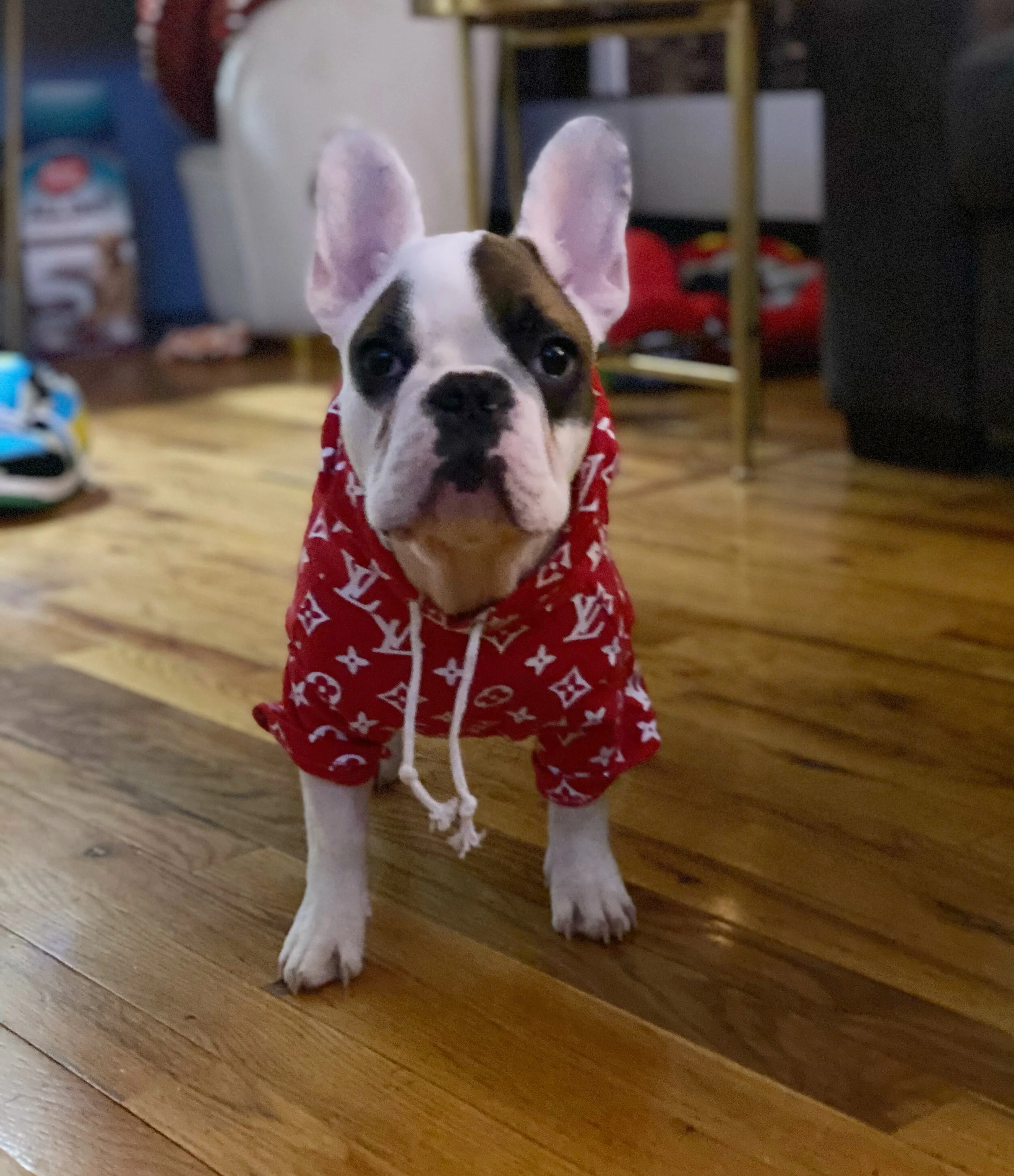 Whatever it is, the way you tell your story online can make all the difference.