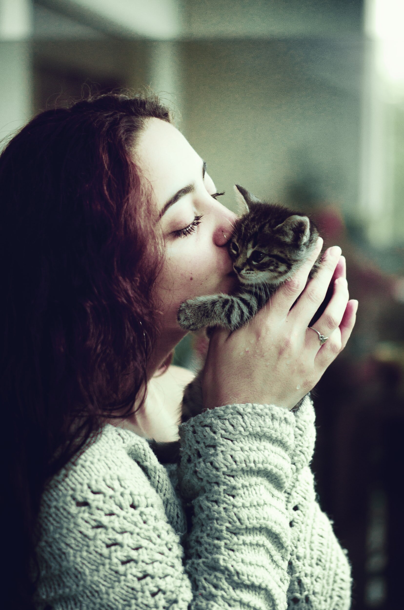‘Dark matter’ in cat genomes may shed light on human disease