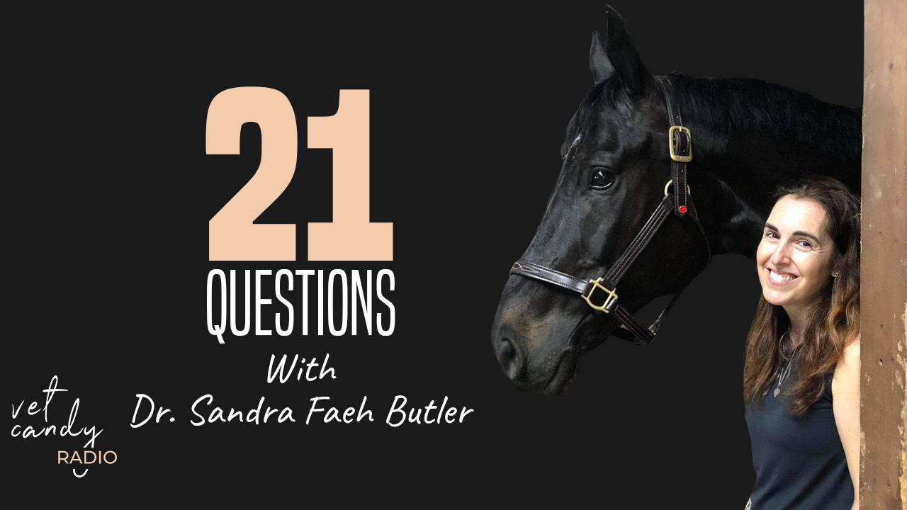 21 questions with Dr. Sandra Faeh Butler (Copy)