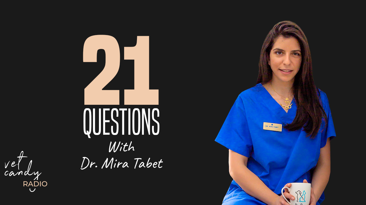 21 Questions with Dr. Mira Tabet (Copy)