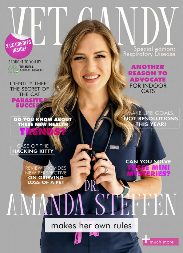 COVER 2023 Special Edition Vet Candy Magazine compressed-3.png