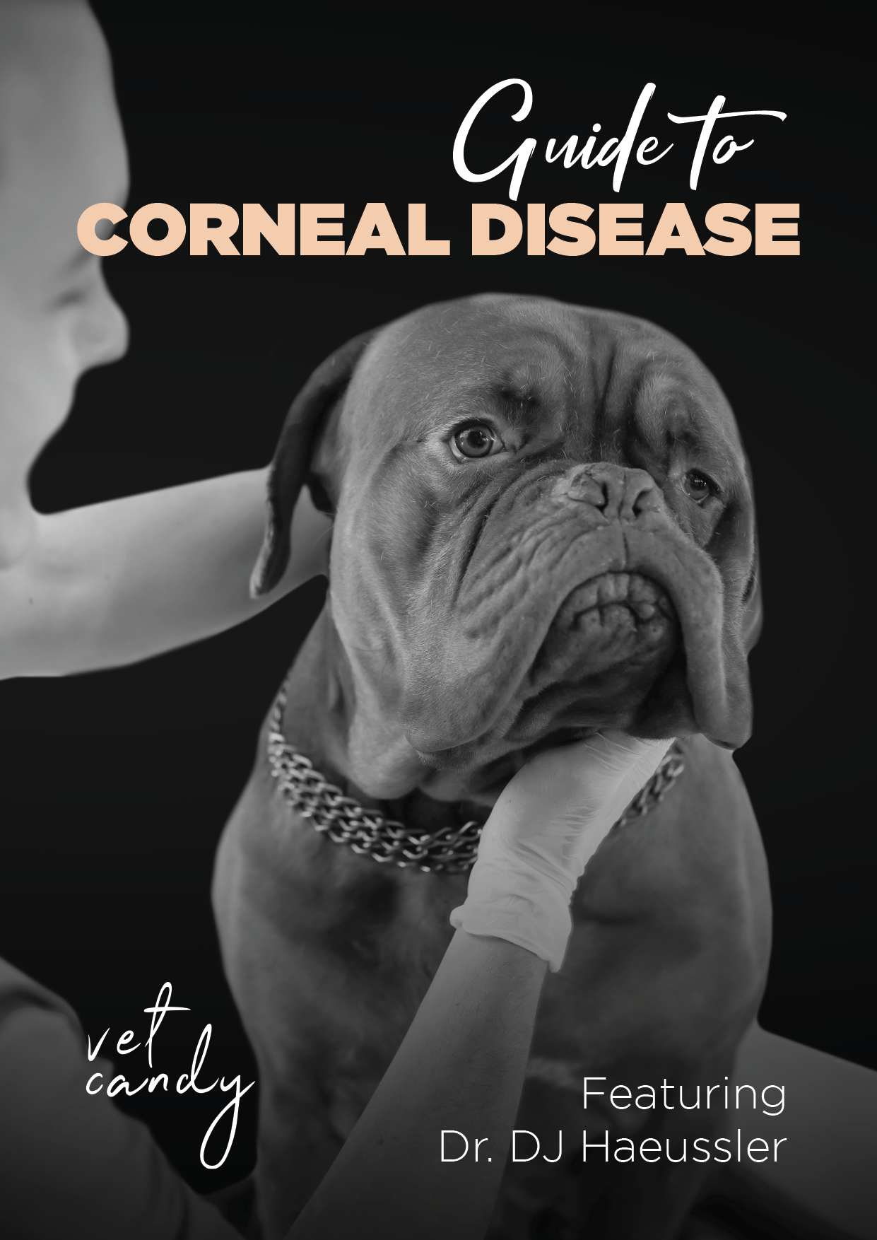 Guide_to-Corneal Disease-01.png