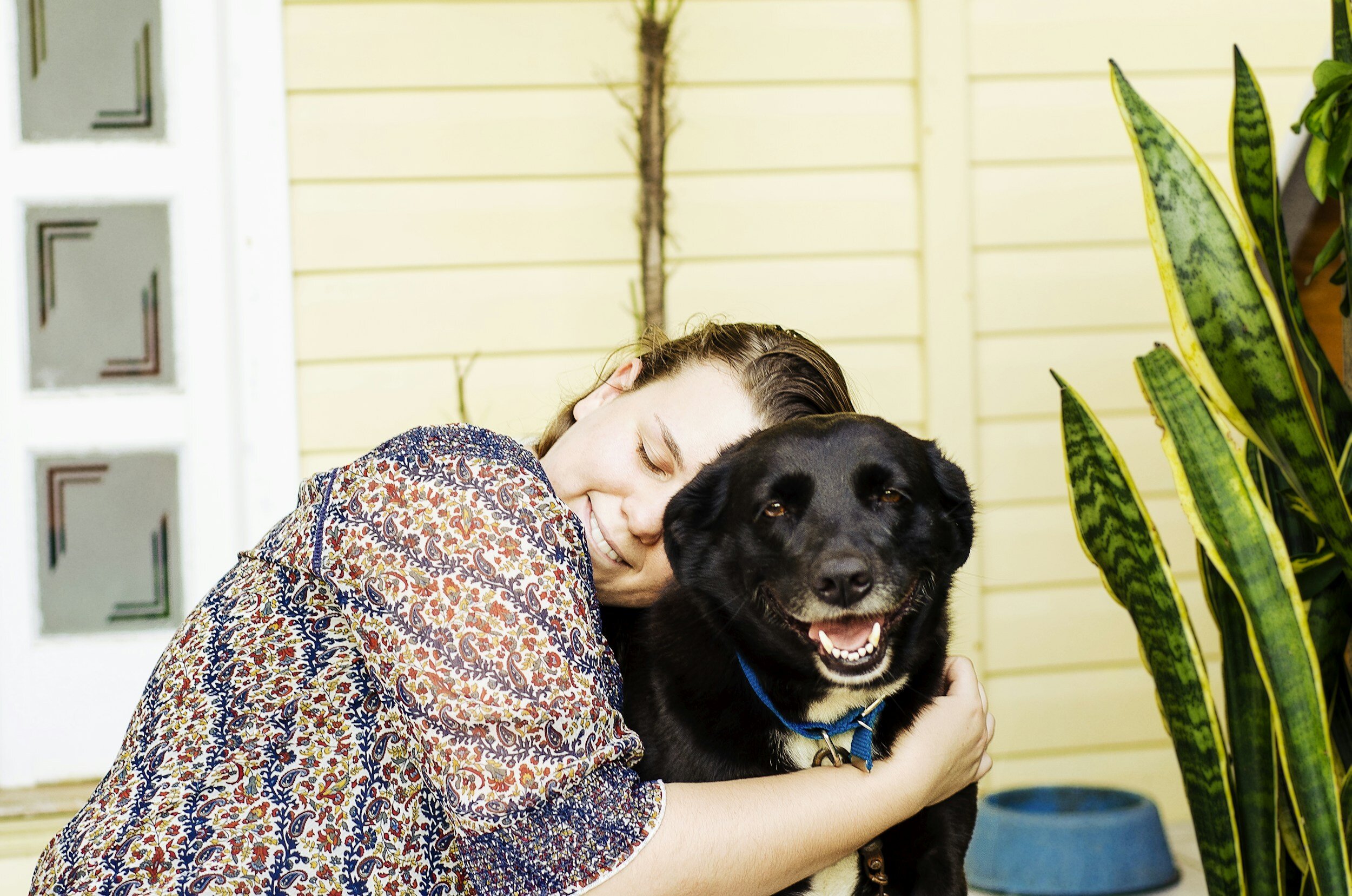 Unleash the Healing Power of Pups: New Study Reveals Surprising Health Benefits of Dog Interactions!