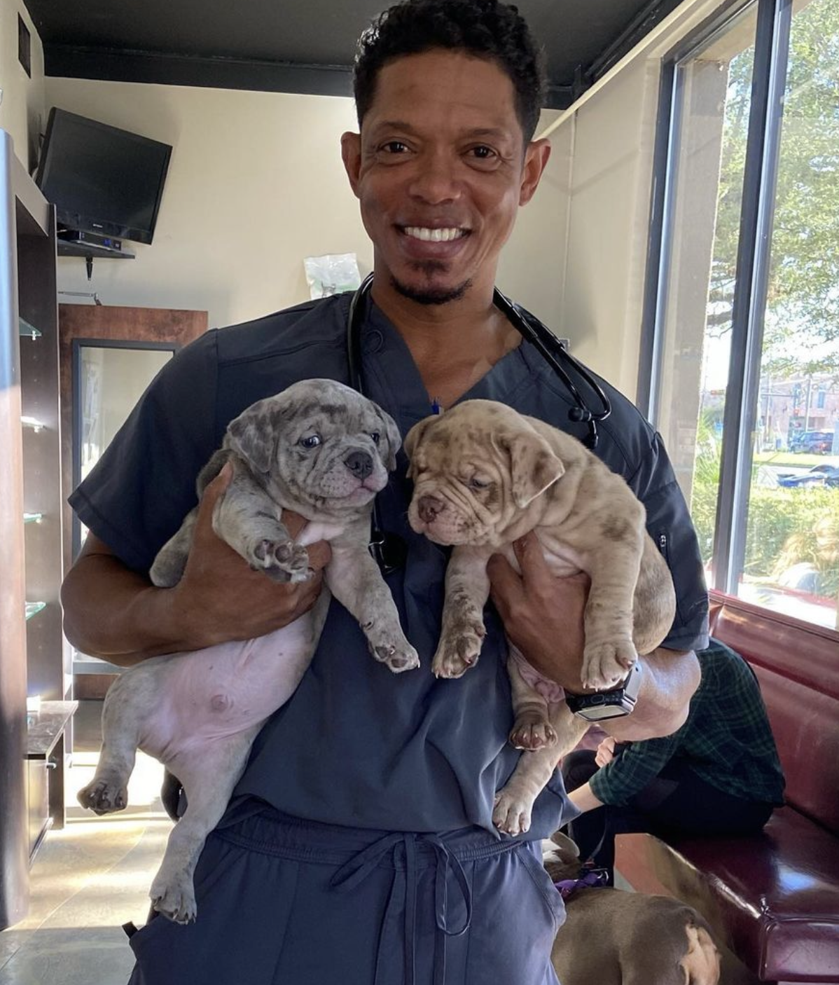 Meet Dr. Treyton Diggs: The Heartfelt Tale of Westminster Kennel Club's Veterinarian of the Year 2024