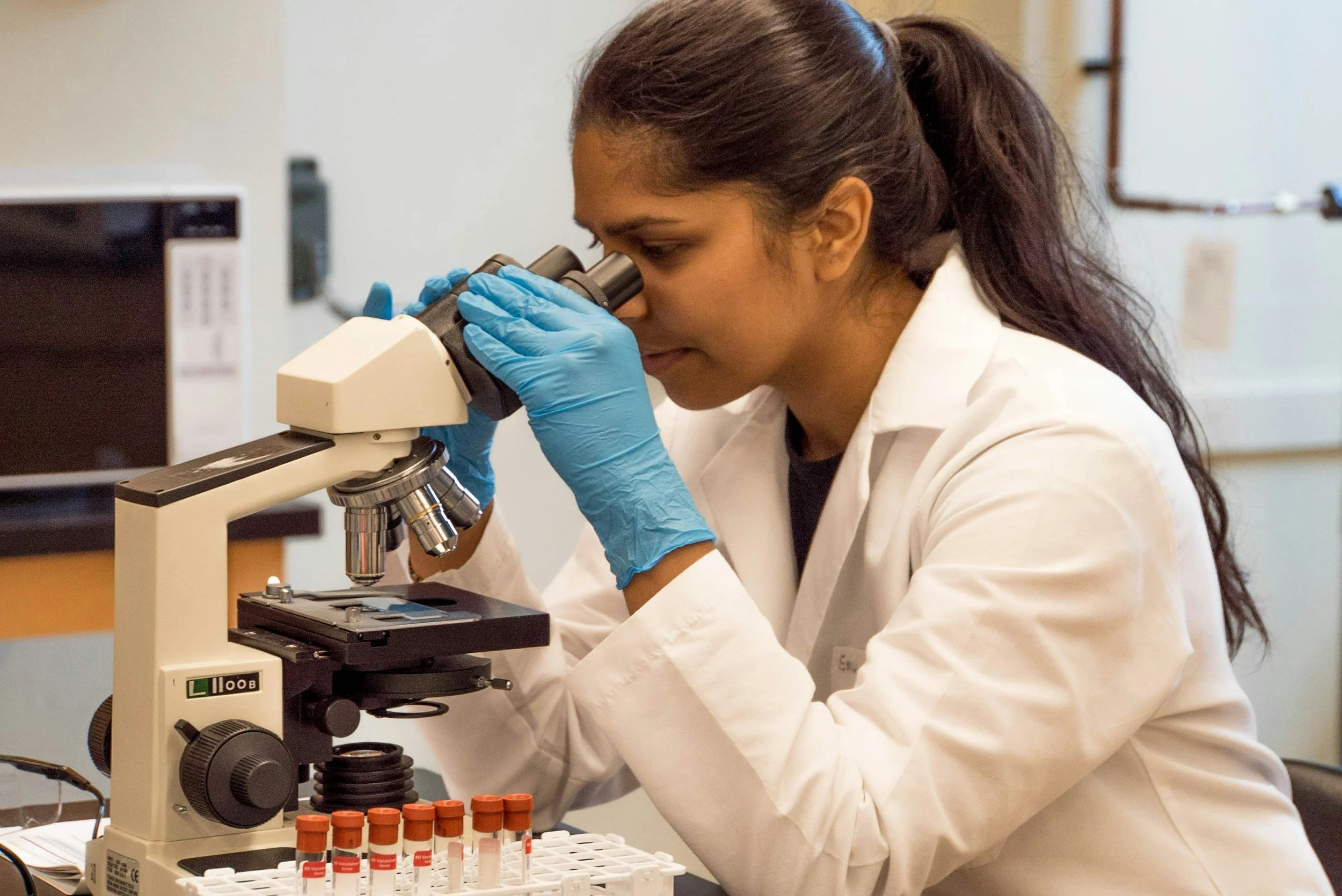 Unveiling the Hidden Threat: Babesia Canis – The Silent Killer in Dogs You Need to Know About!
