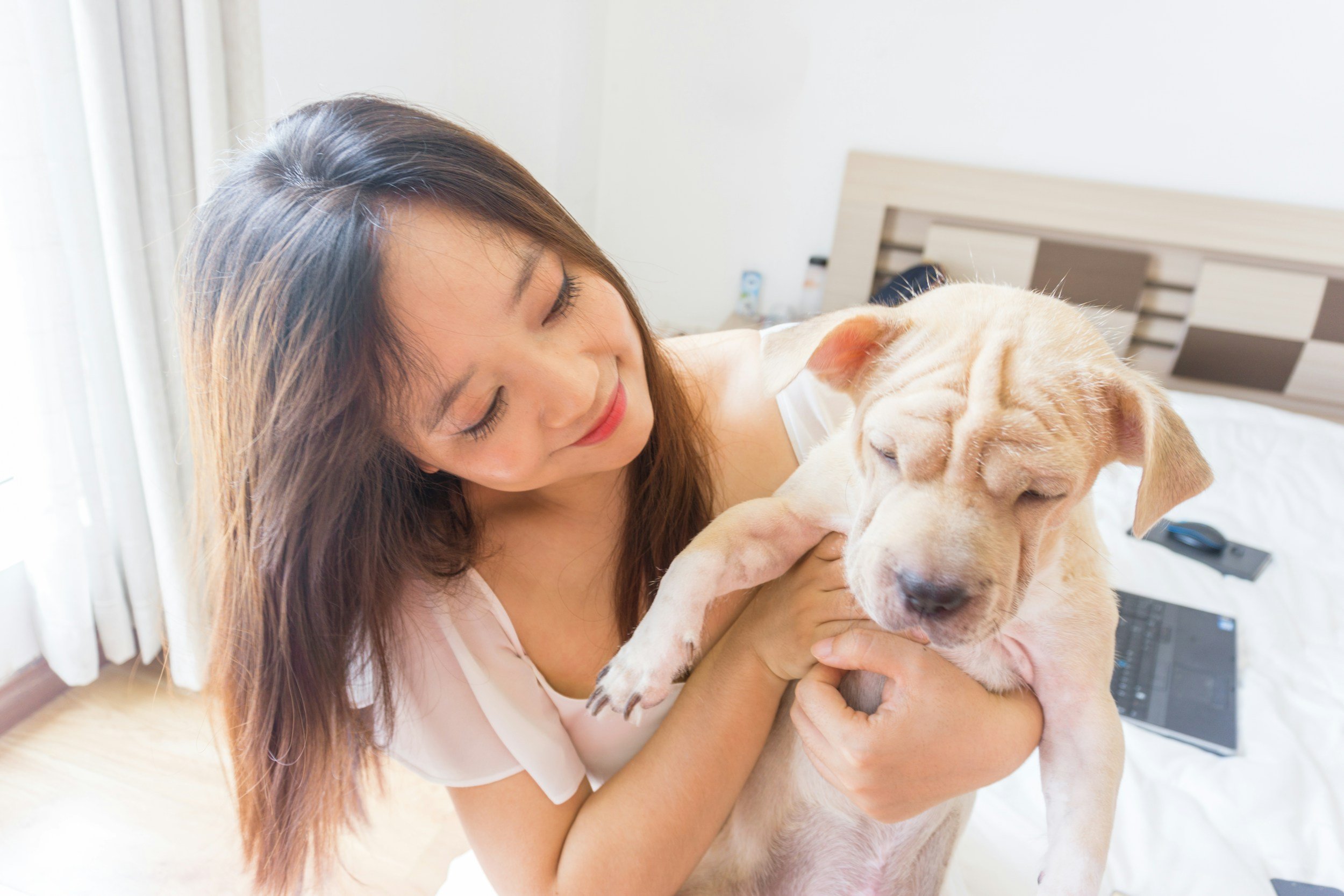 A dog's puppyhood can cause 'puppy blues' reminiscent of baby blues